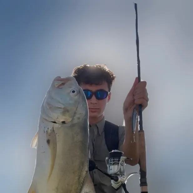 Crevalle jack caught on Fishbrain