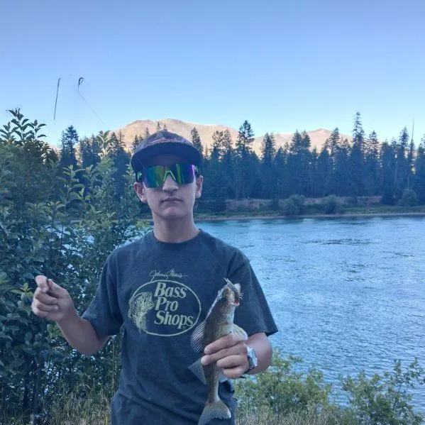 The most recent Walleye catches on Fishbrain