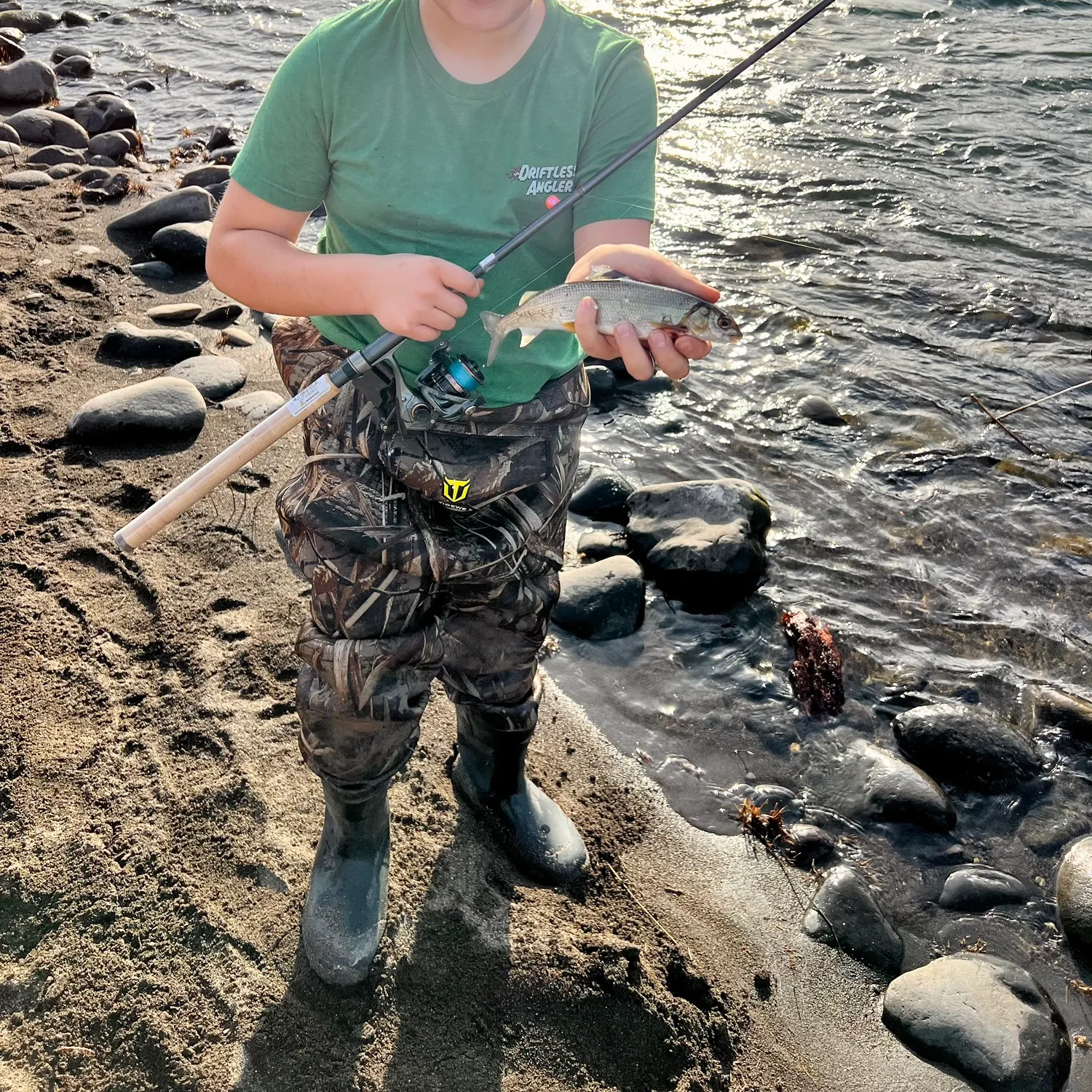 The most recent Mountain whitefish catches on Fishbrain