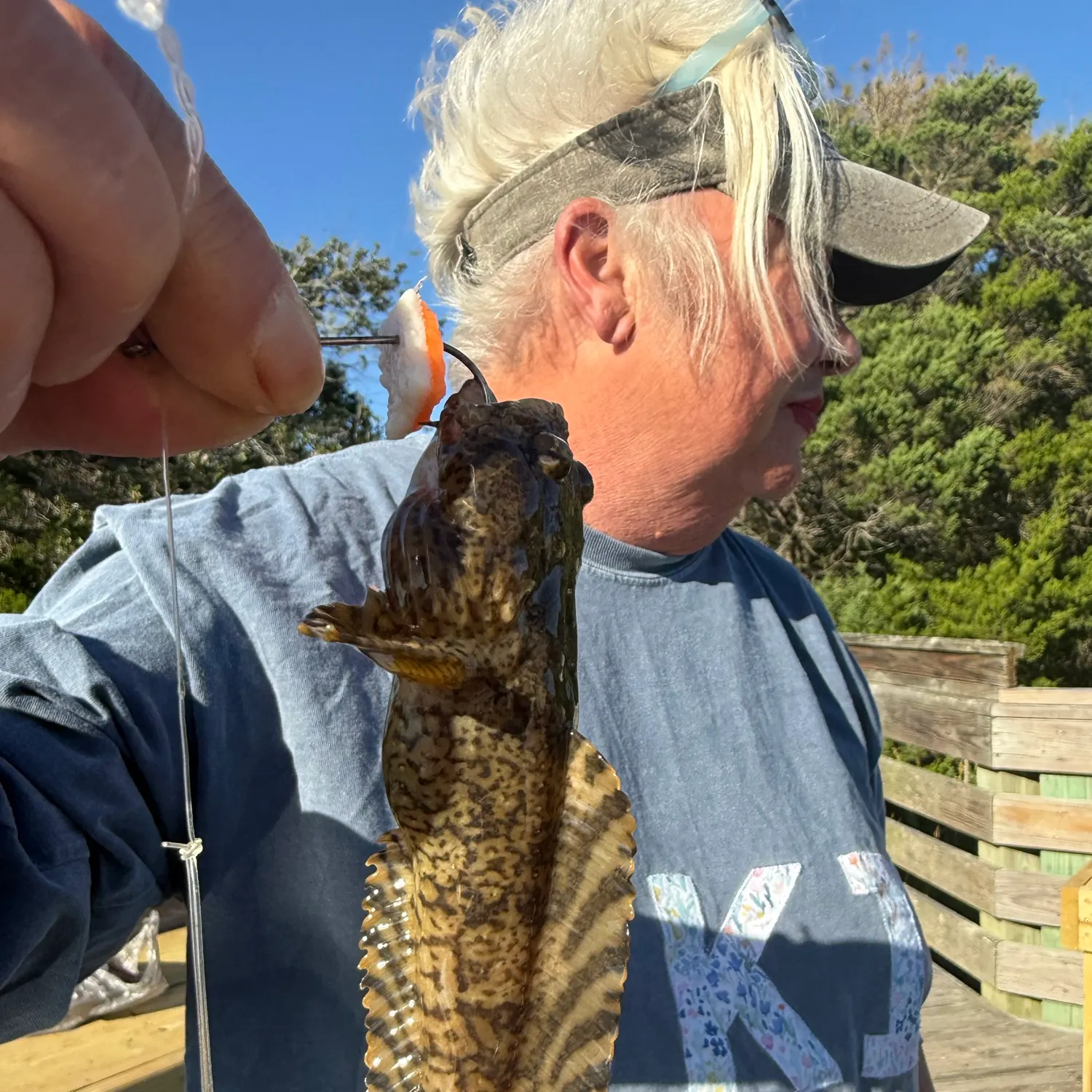 The most recent Oyster toadfish catches on Fishbrain