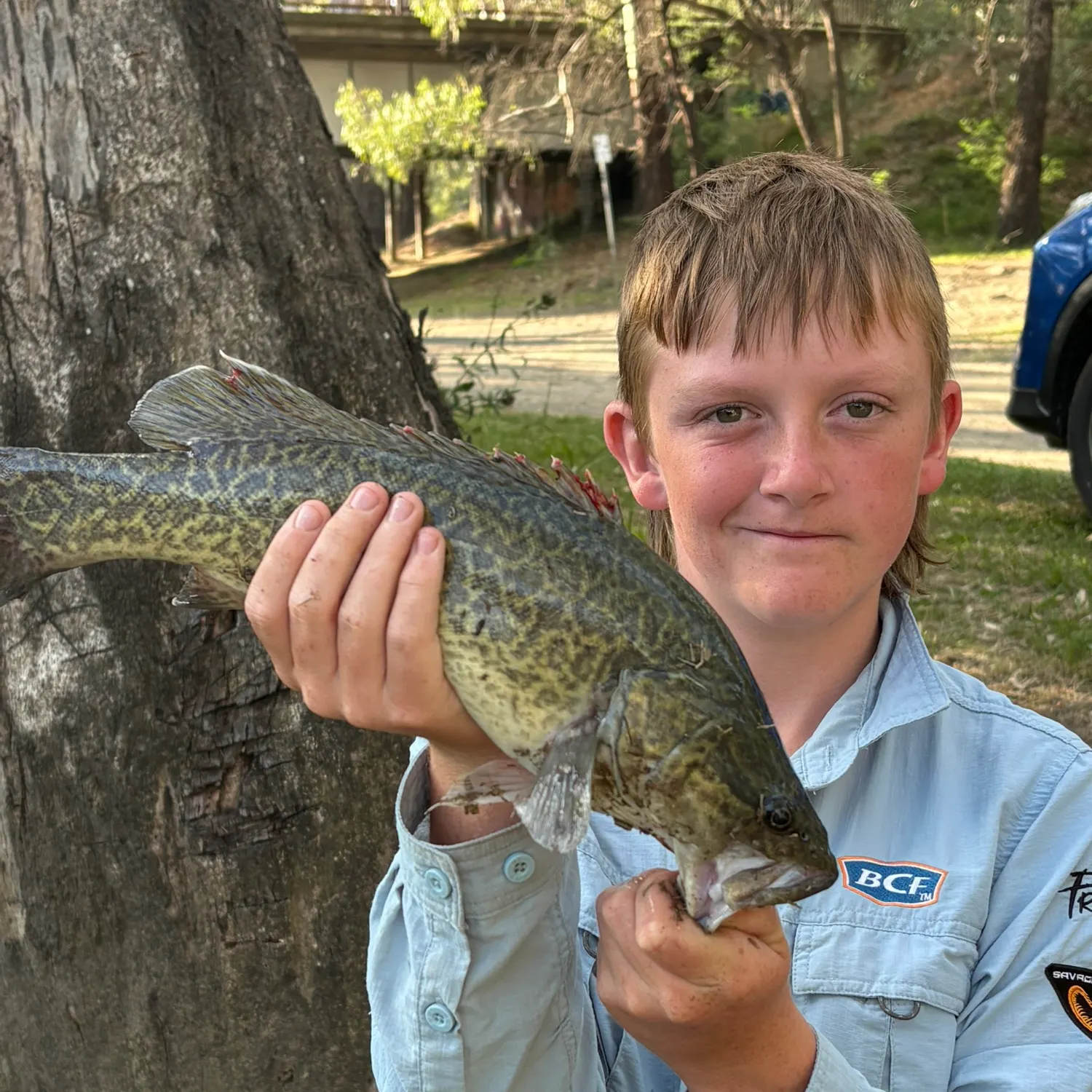 Murray cod caught on Fishbrain