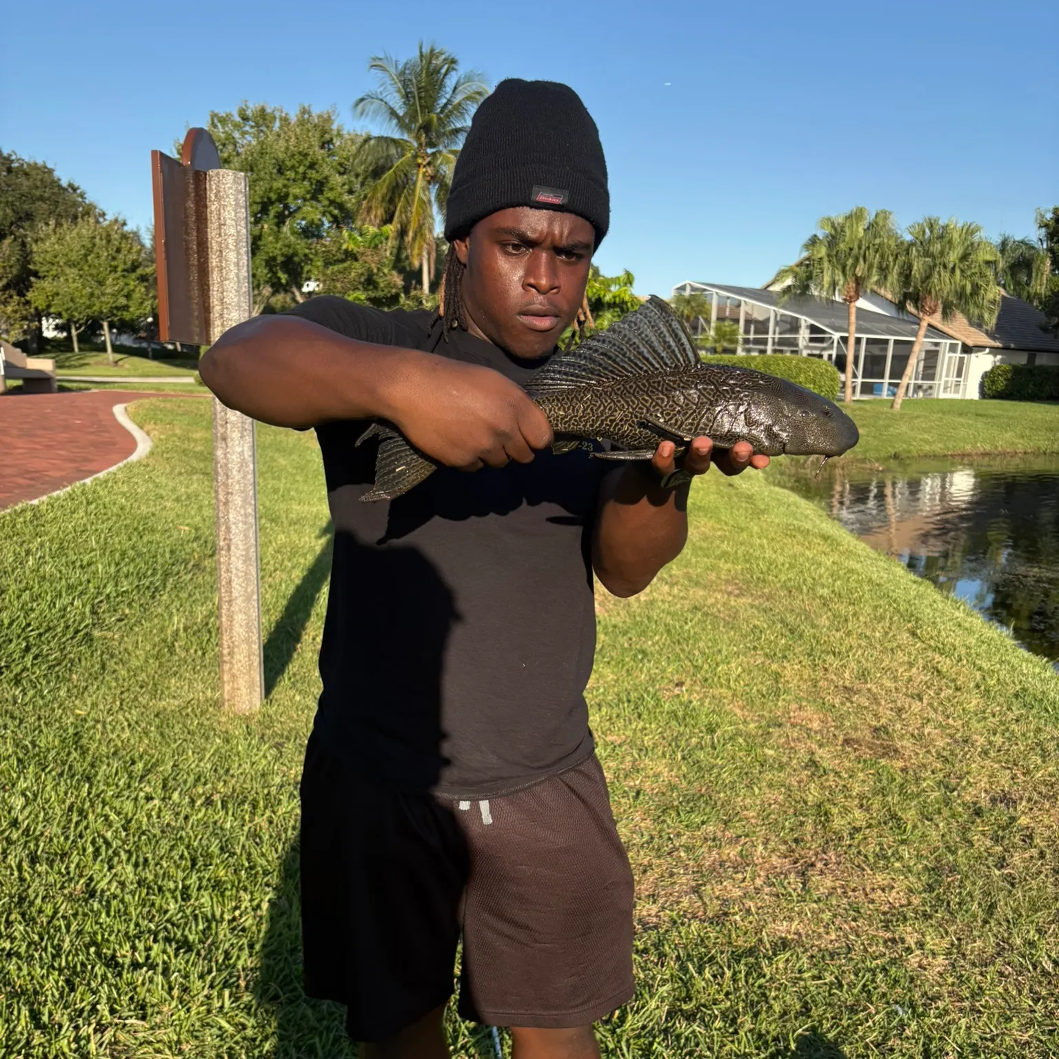 The most recent Suckermouth catfish catches on Fishbrain