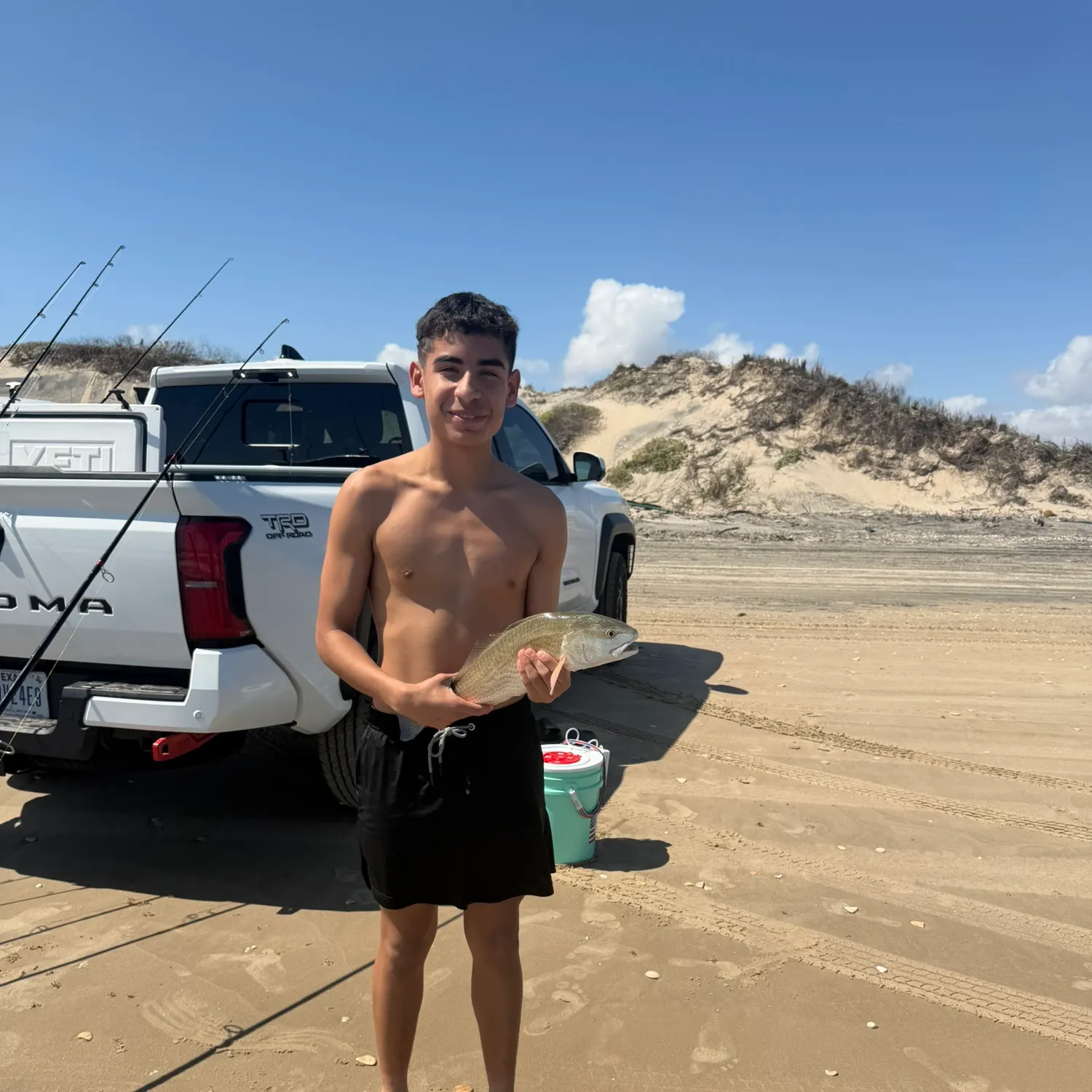 The most recent Red drum catches on Fishbrain