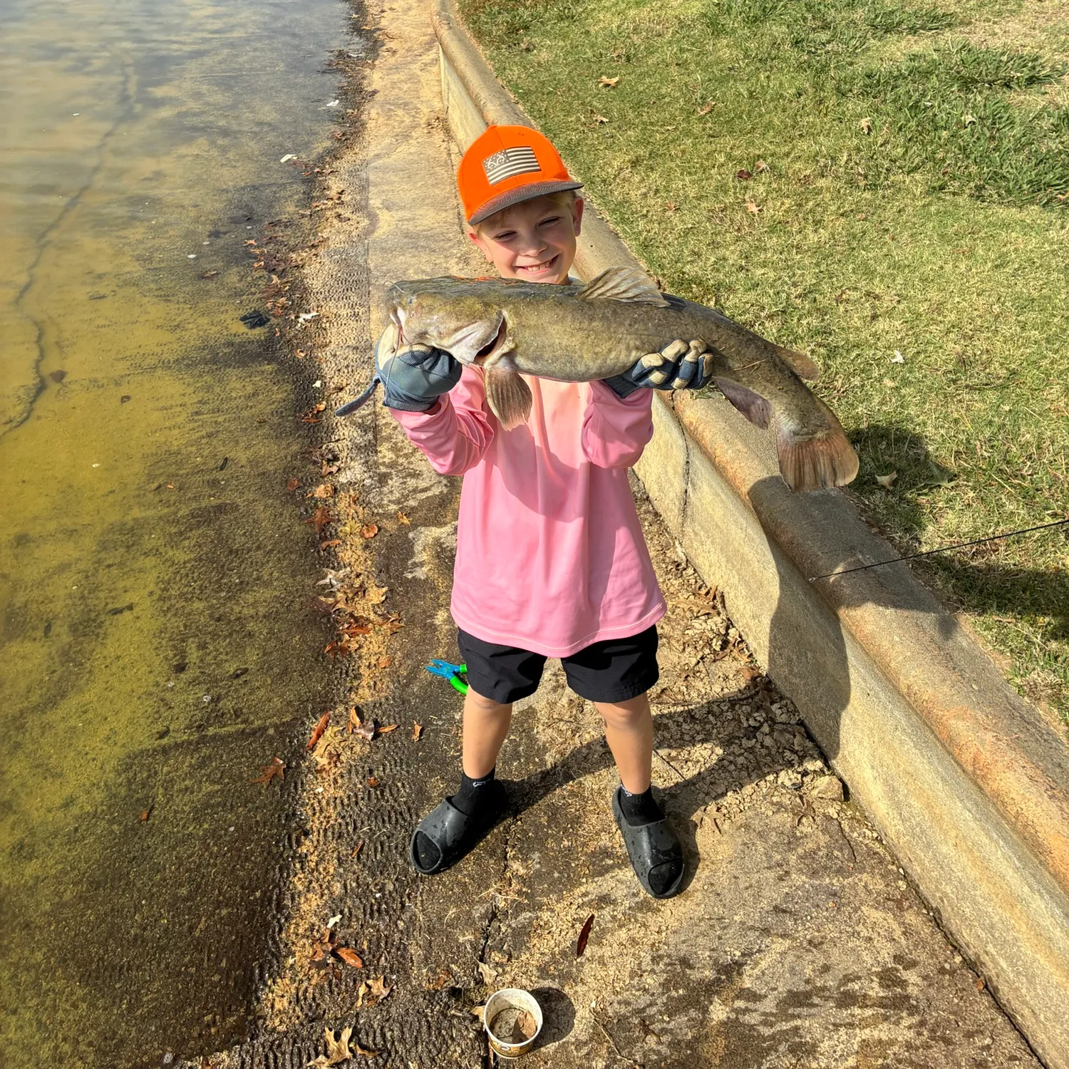 Flathead catfish caught on Fishbrain