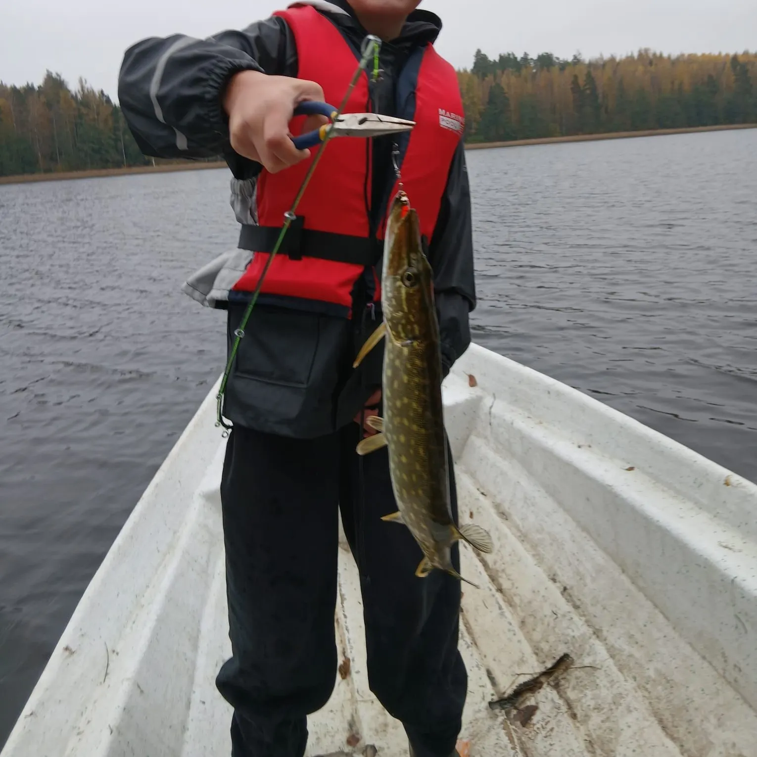 Northern pike caught on Fishbrain