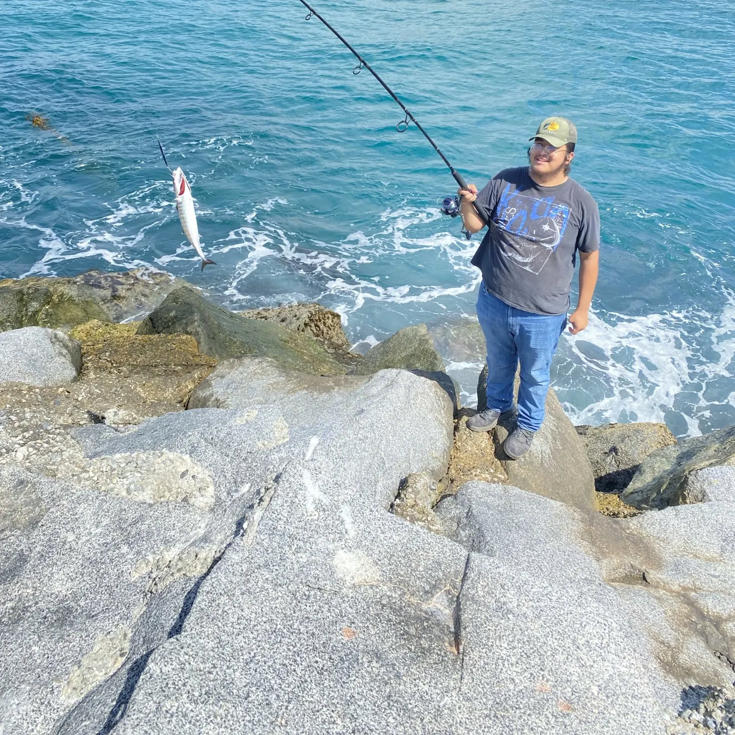Pacific chub mackerel caught on Fishbrain