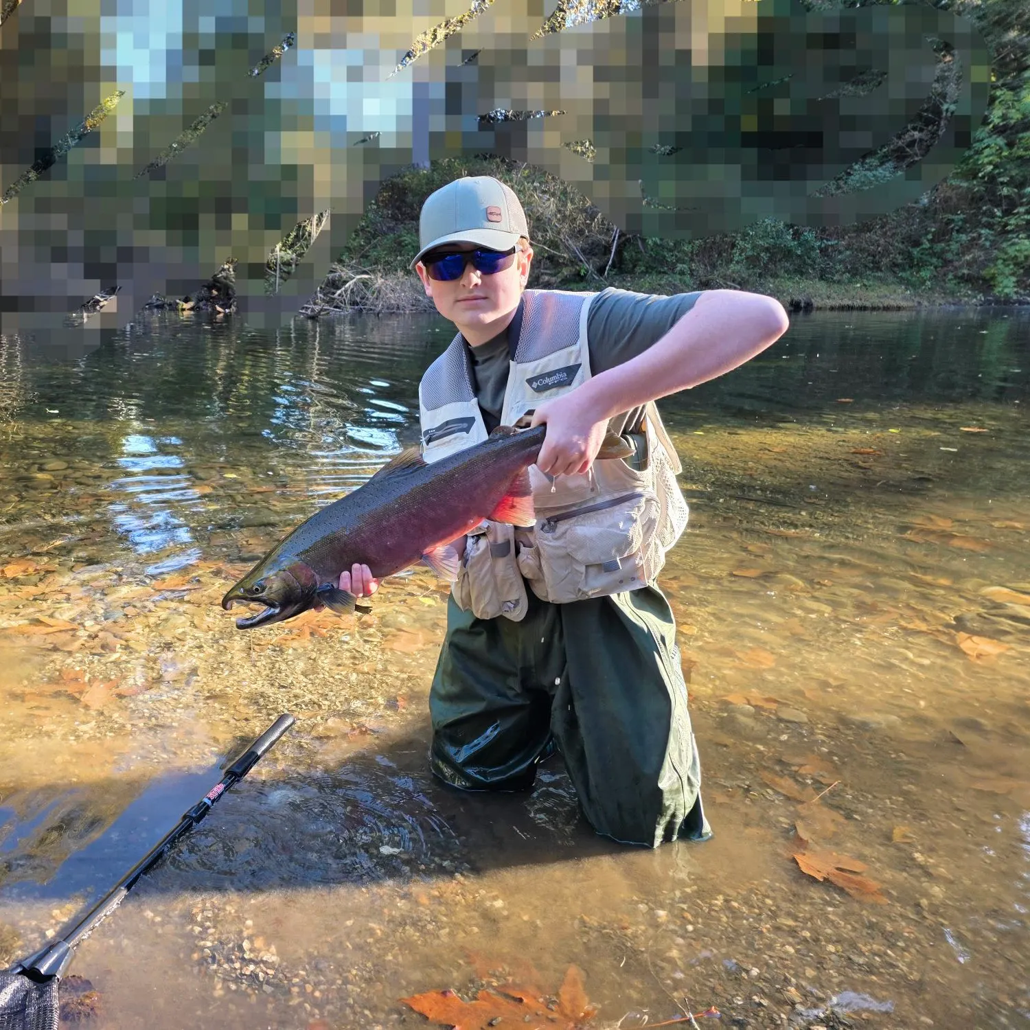 Coho salmon caught on Fishbrain