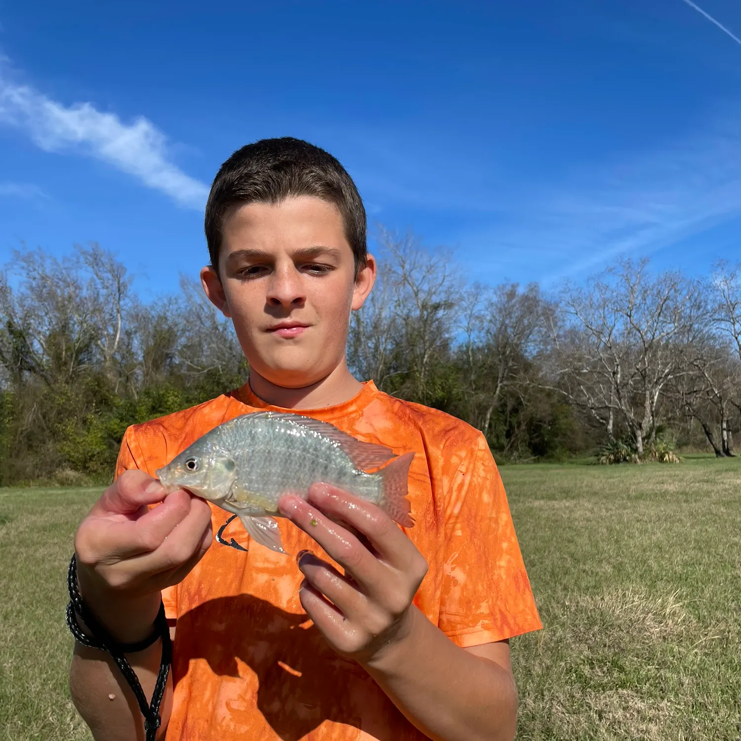 The most recent Nile tilapia catches on Fishbrain
