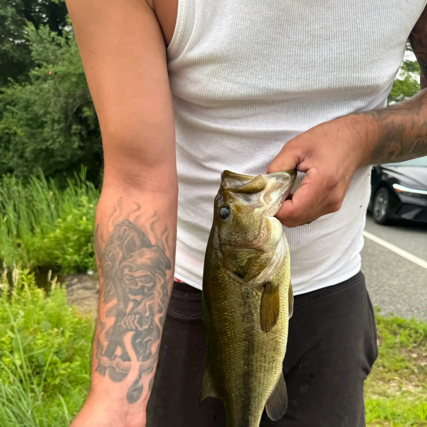 catch