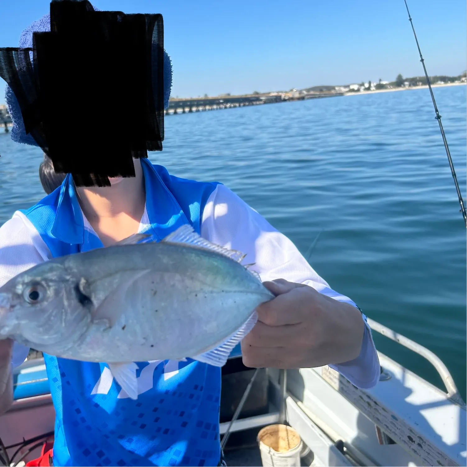 The most recent Silver trevally catches on Fishbrain