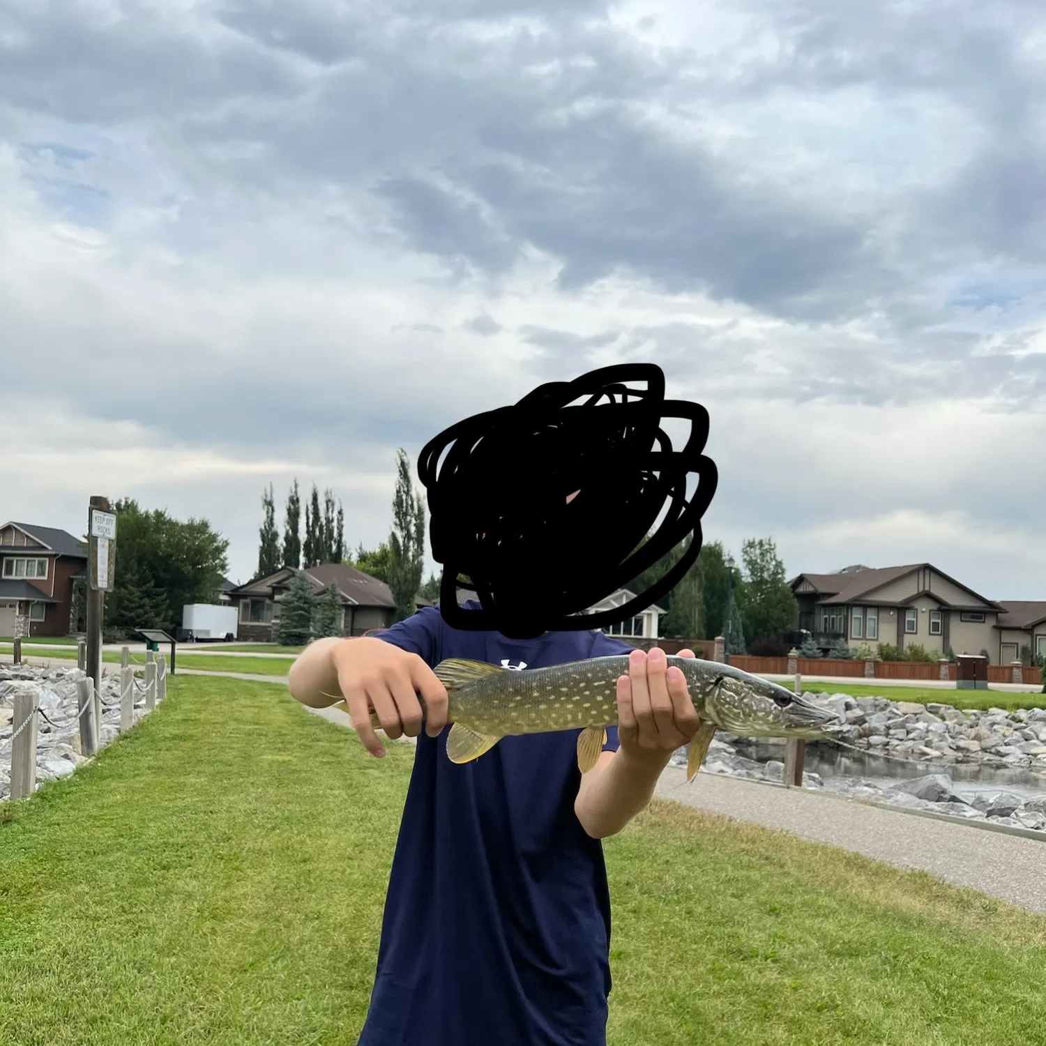 Northern pike caught on Fishbrain
