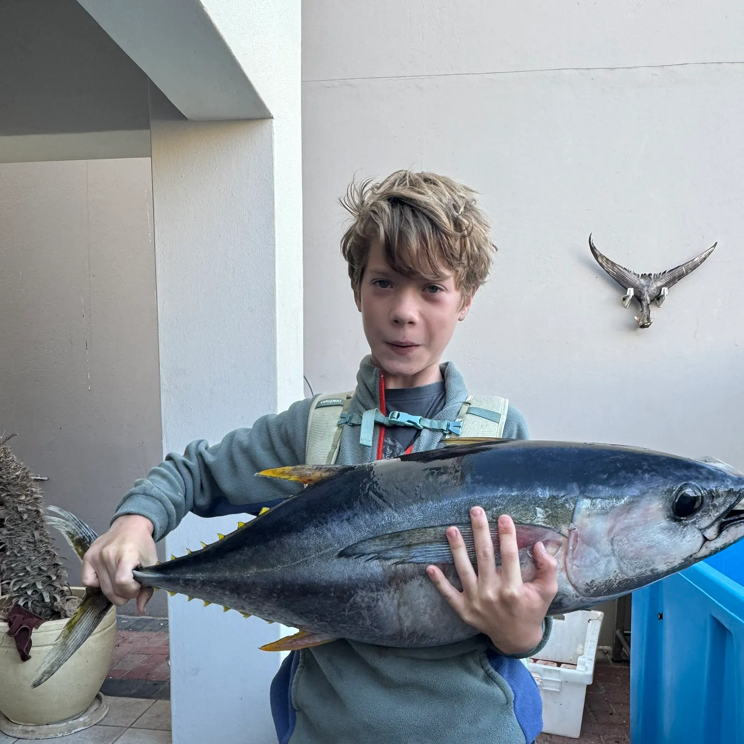 The most recent Yellowfin tuna catches on Fishbrain
