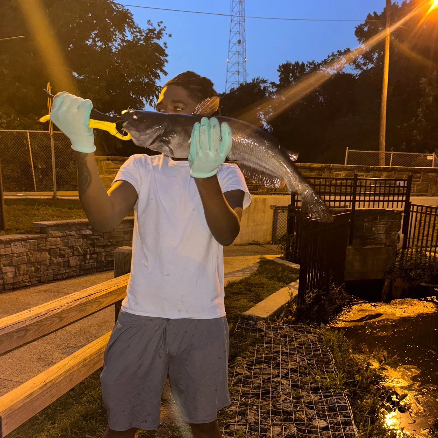 catch