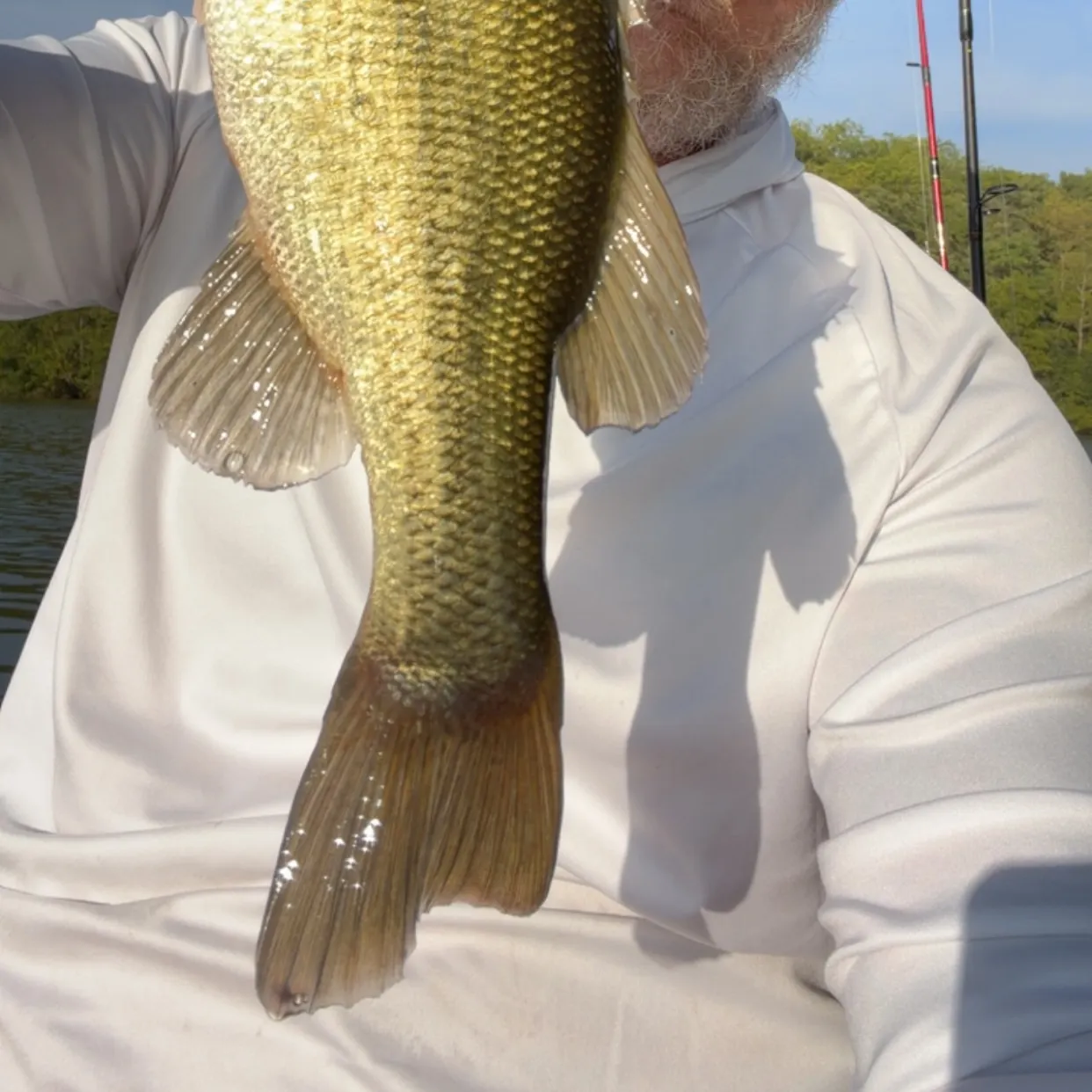 Largemouth bass caught on Fishbrain