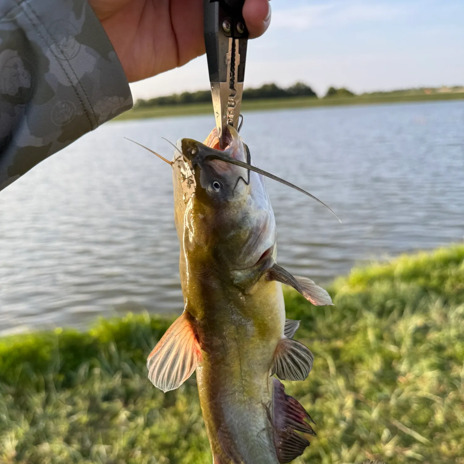 catch