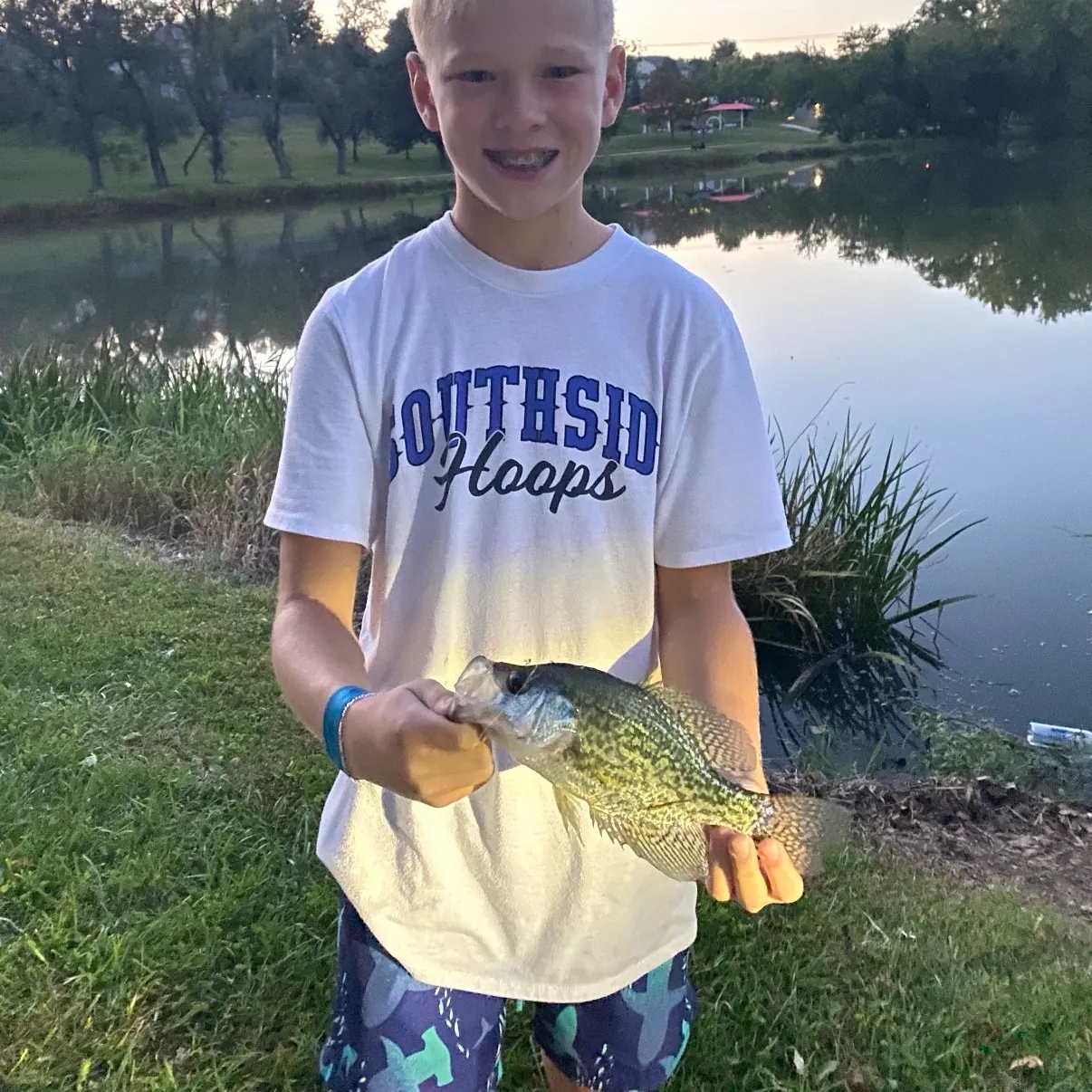 Black crappie caught on Fishbrain