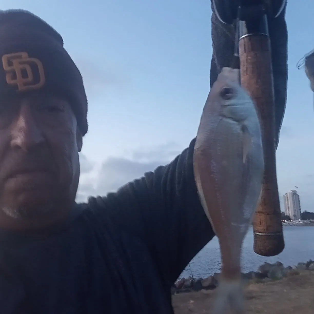 The most recent Silver porgy catches on Fishbrain