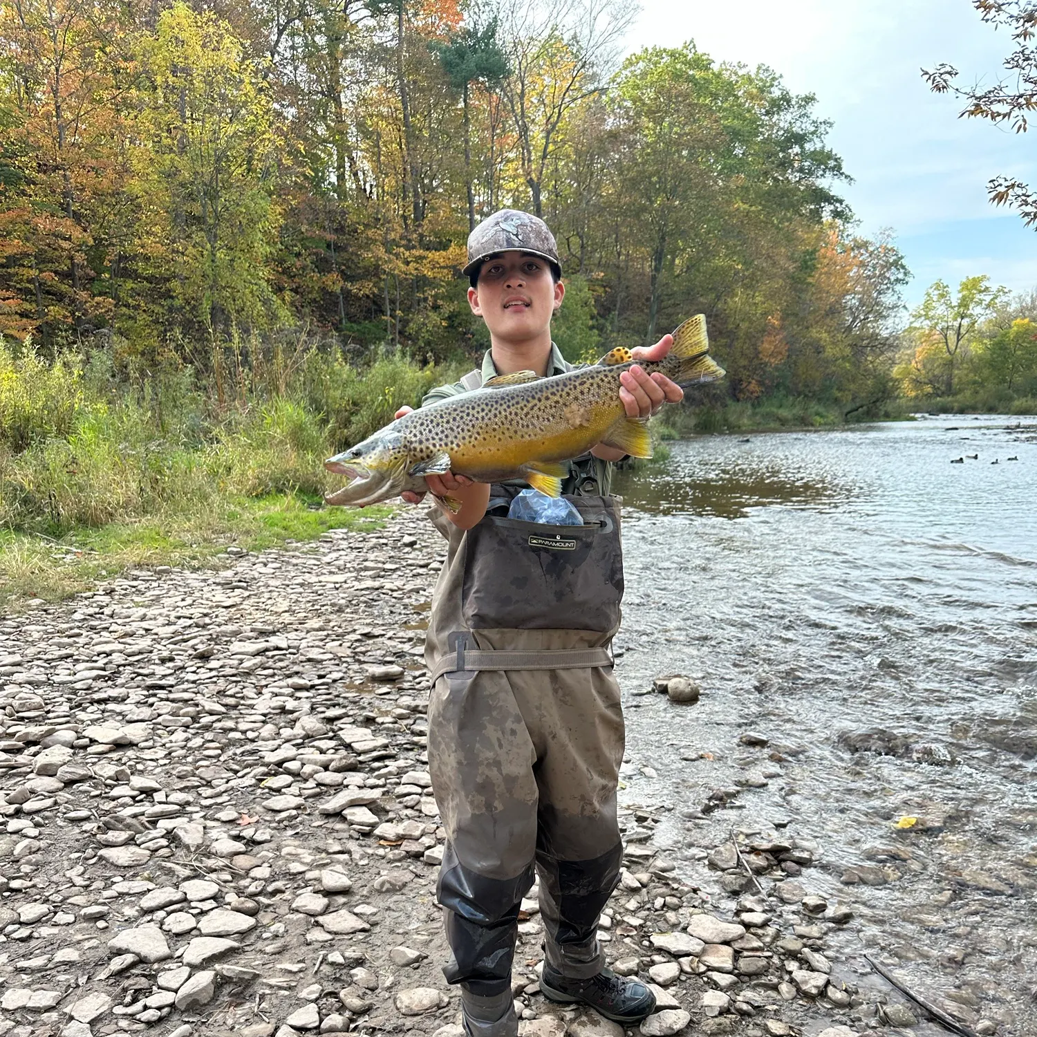 Brown trout caught on Fishbrain
