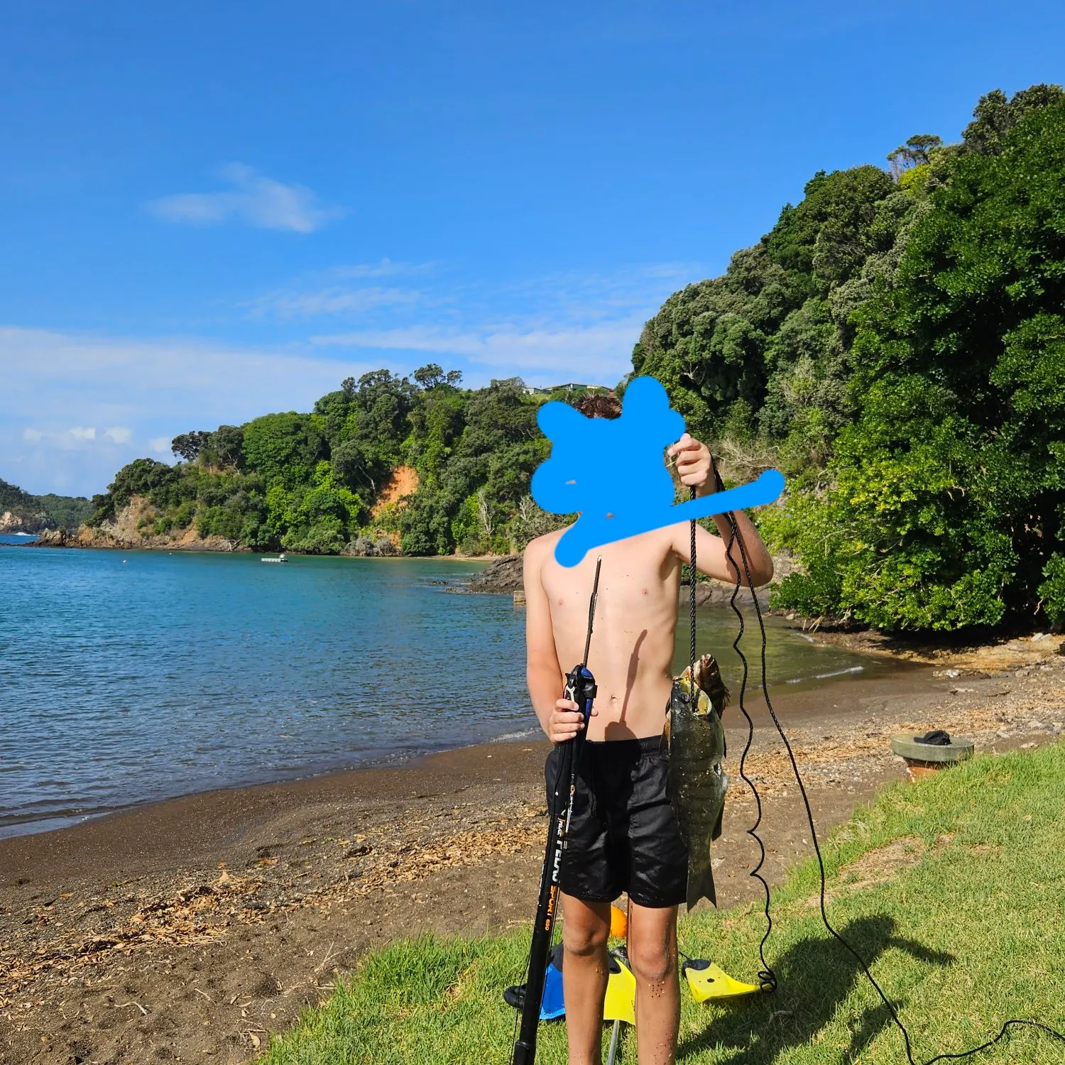 The most recent Luderick catches on Fishbrain