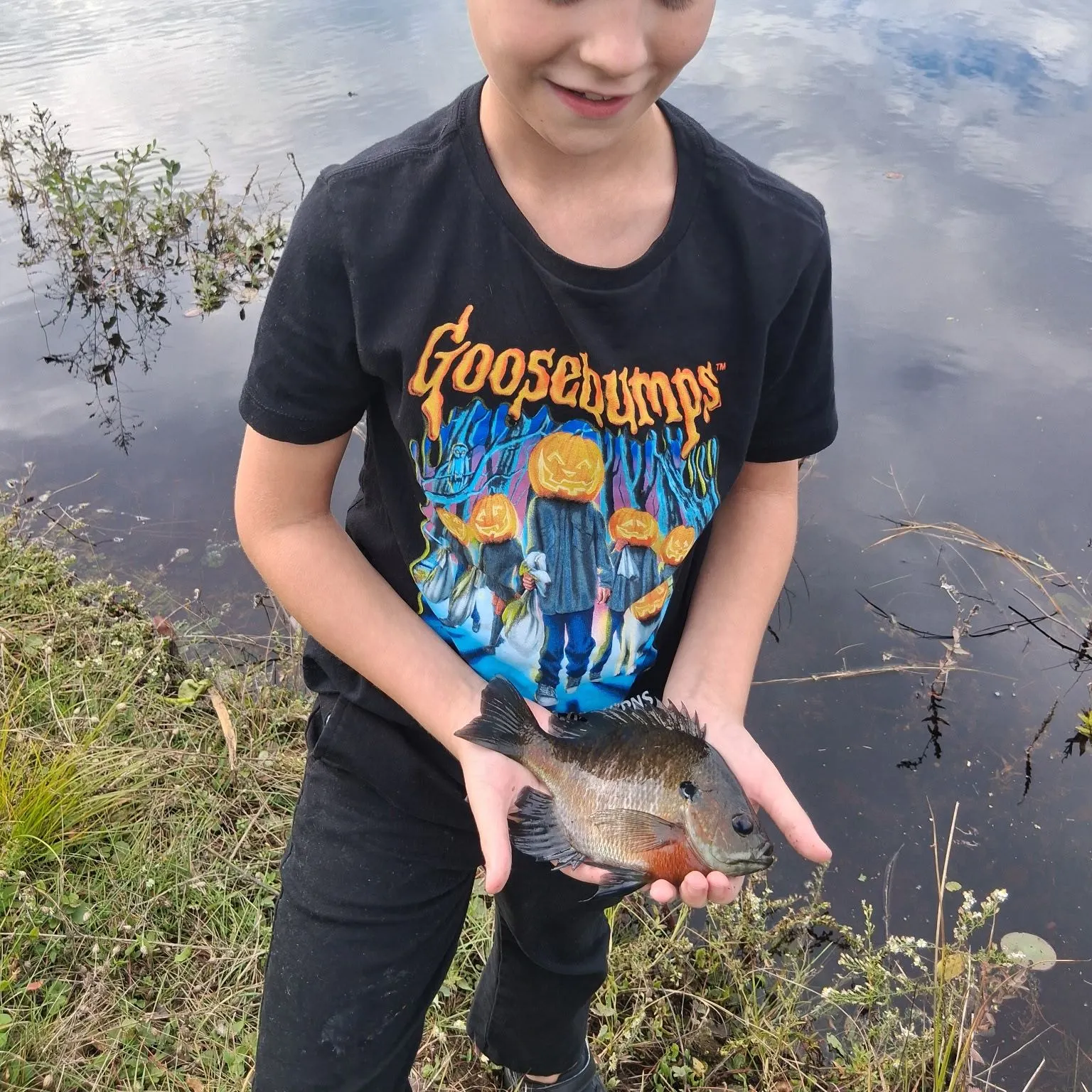 Bluegill caught on Fishbrain
