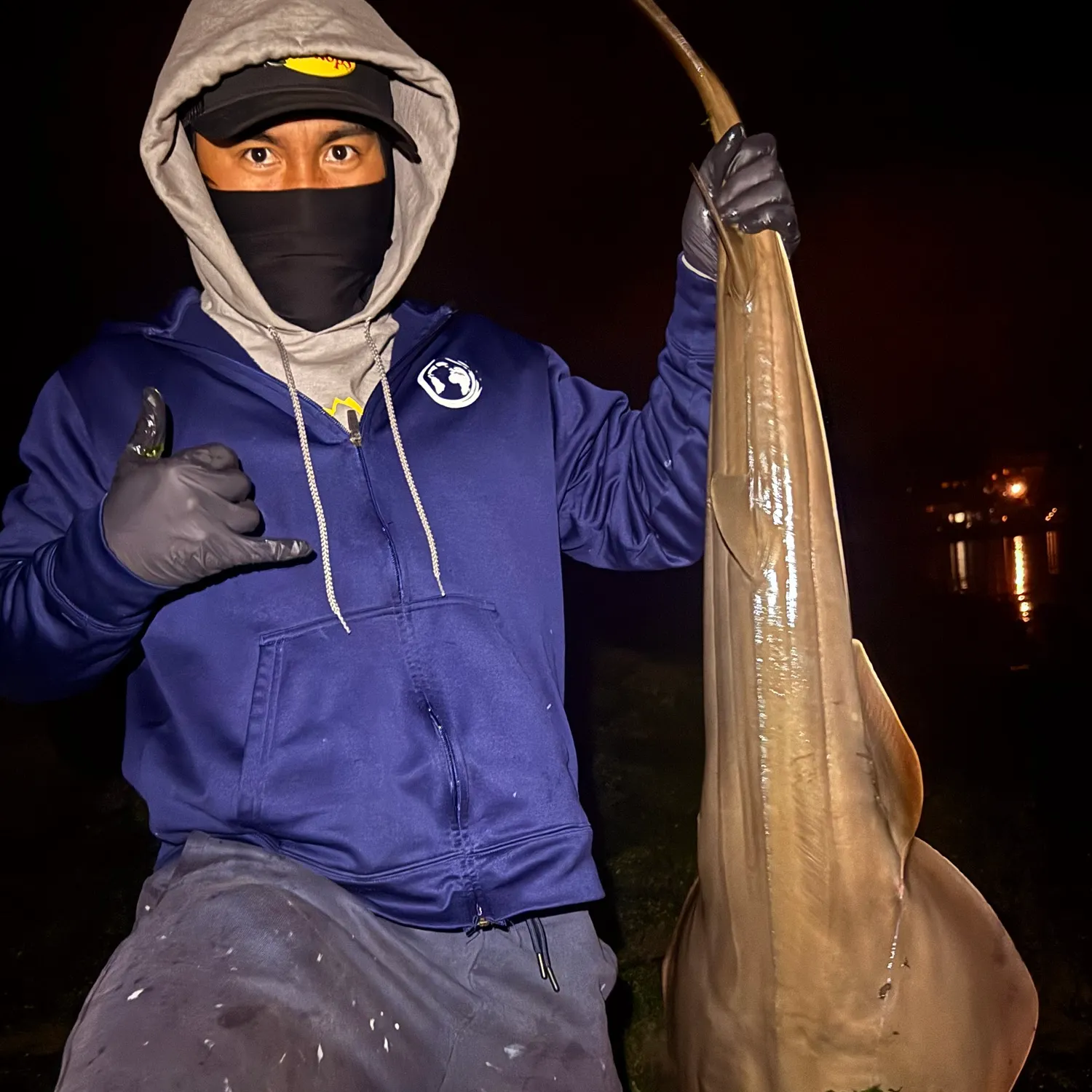 The most recent Pacific shovelnose guitarfish catches on Fishbrain