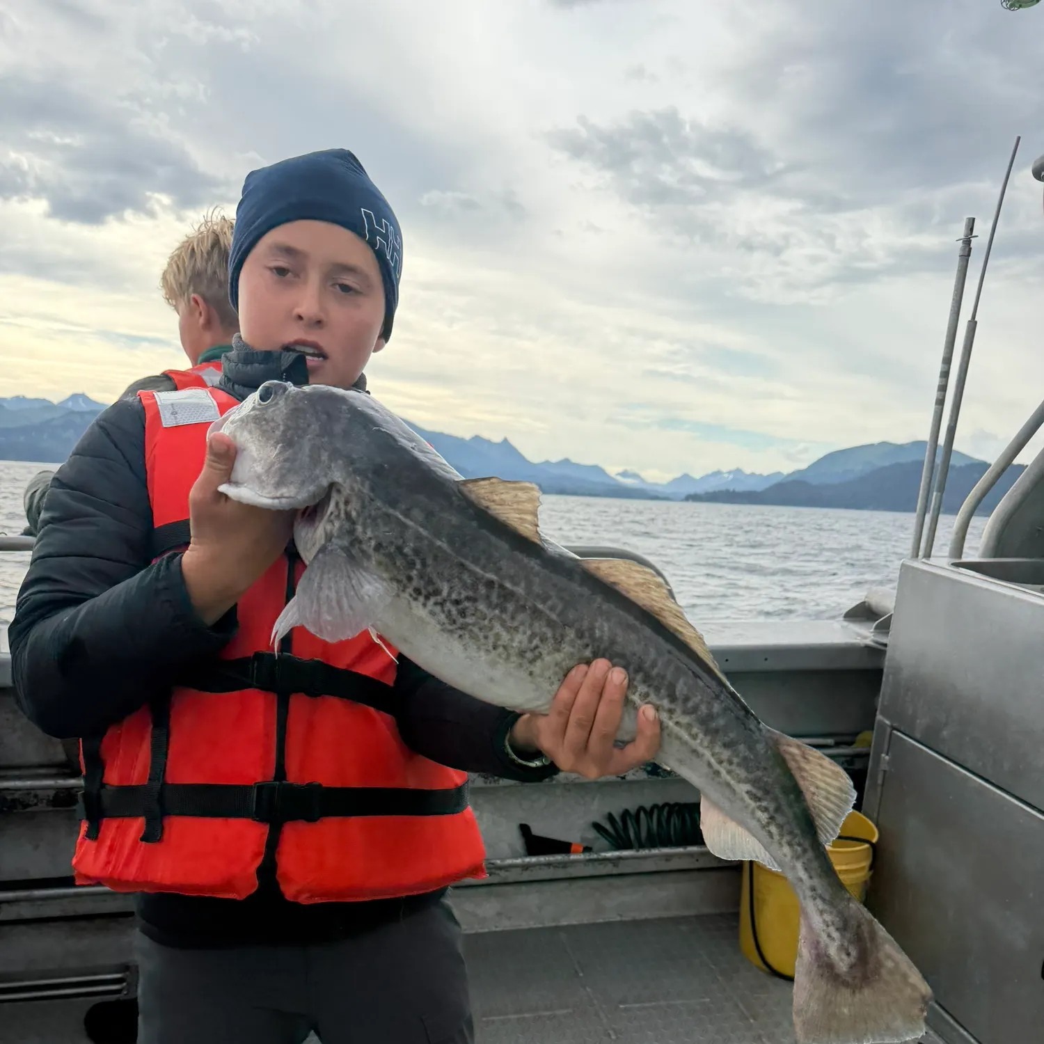 The most recent Pacific cod catches on Fishbrain