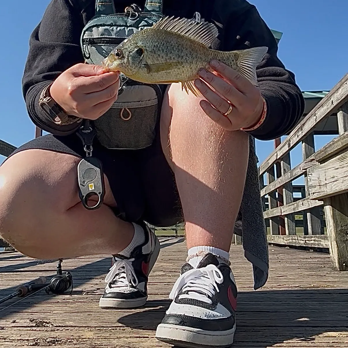 Redear sunfish caught on Fishbrain