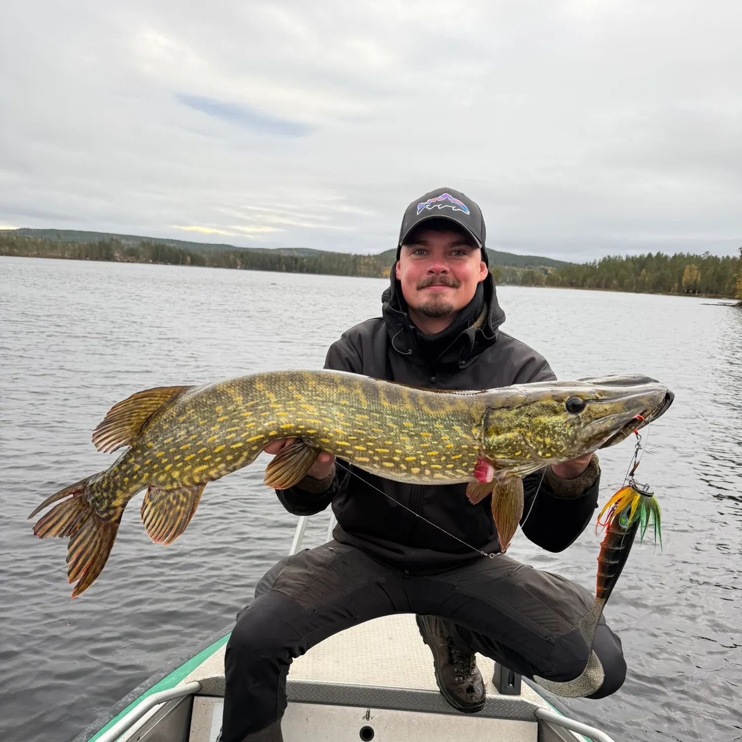 Northern pike caught on Fishbrain