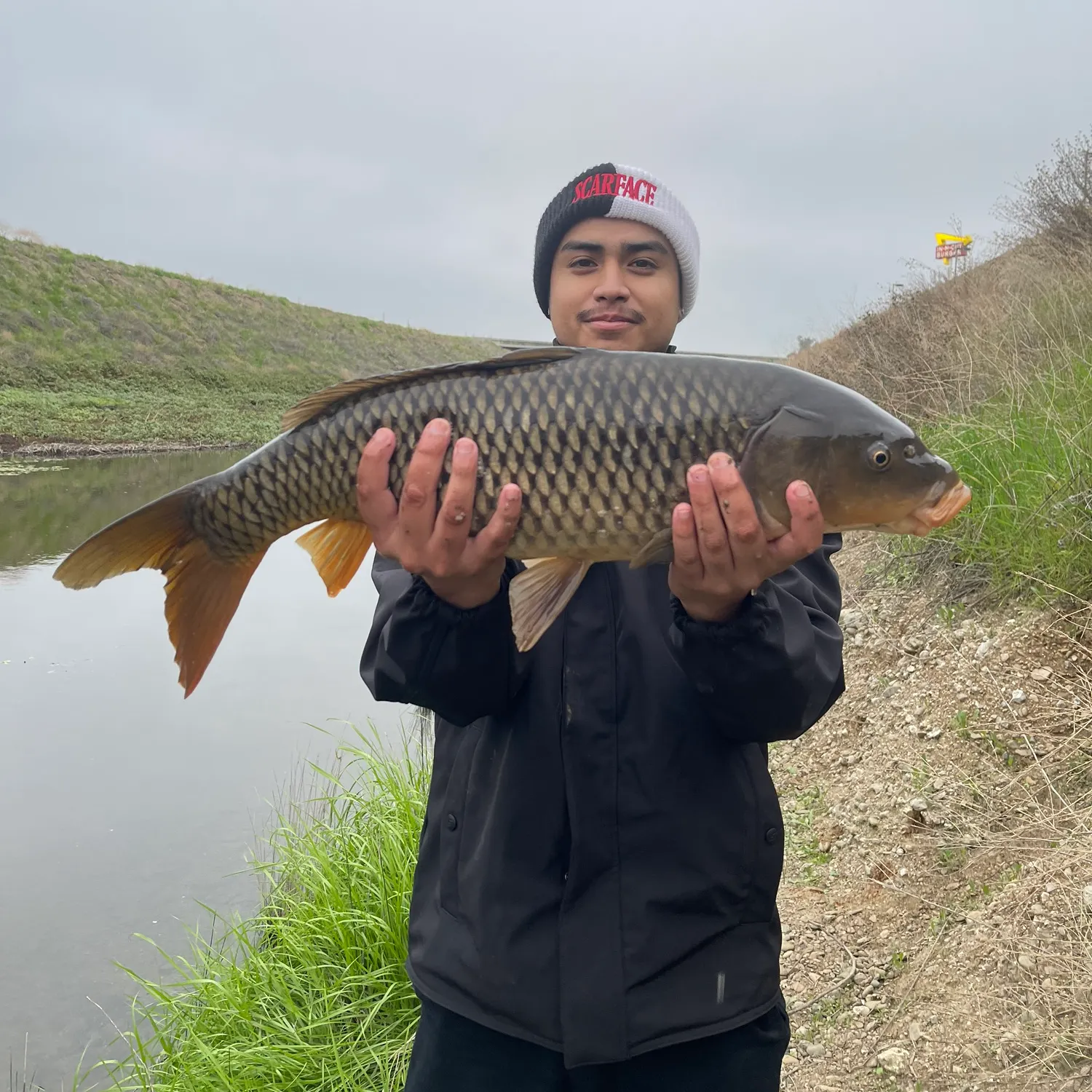 The most recent Common carp catches on Fishbrain