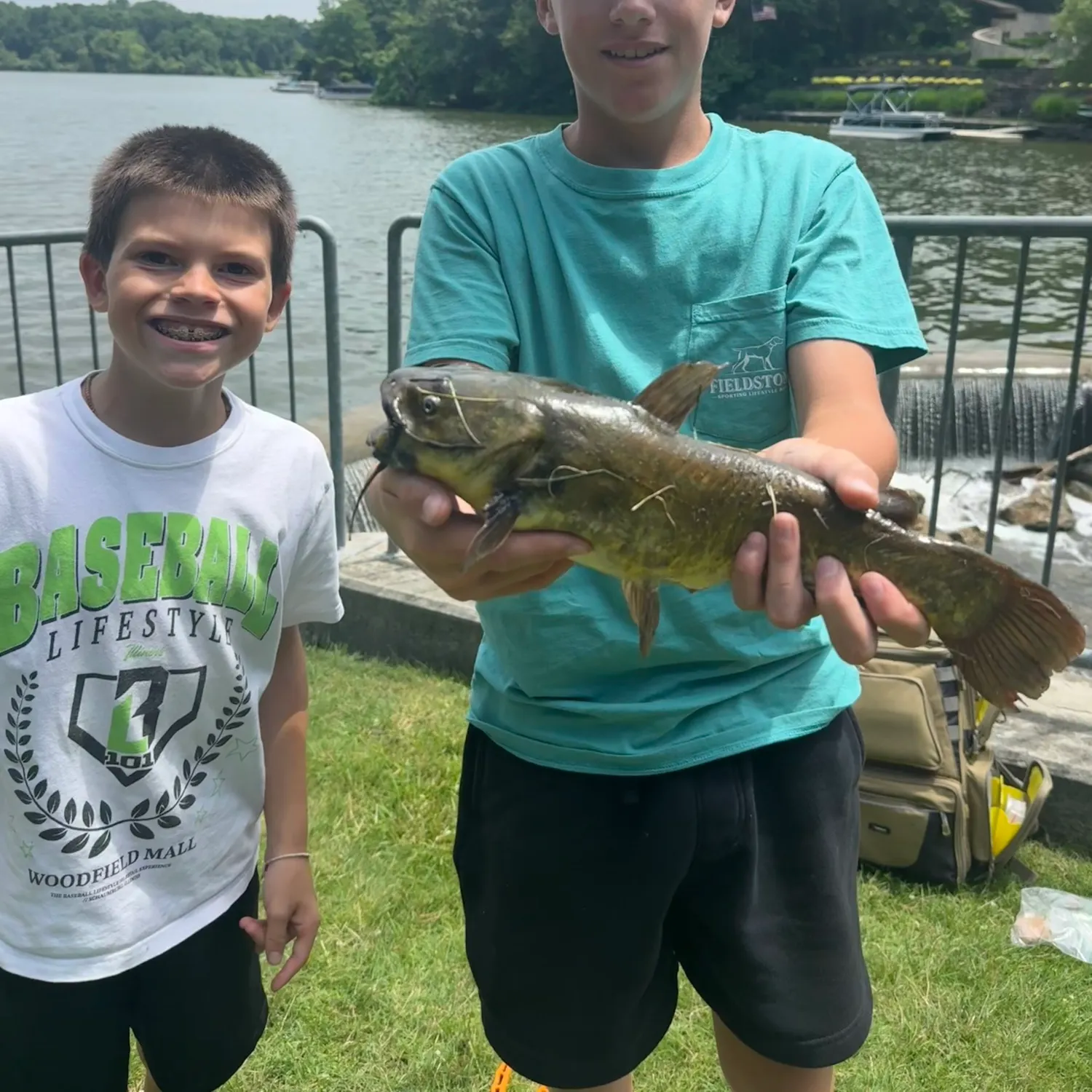 The most recent Black bullhead catches on Fishbrain