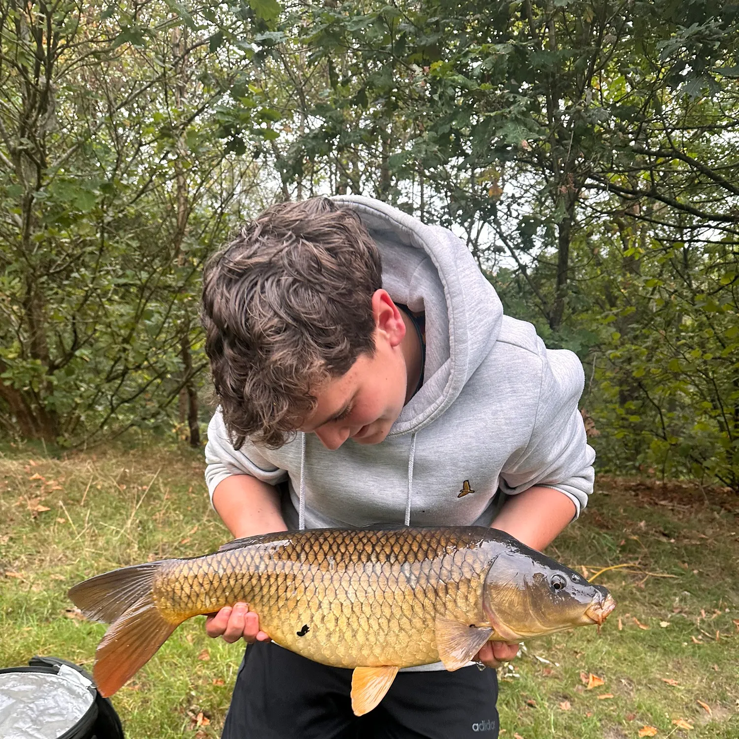 Common carp caught on Fishbrain