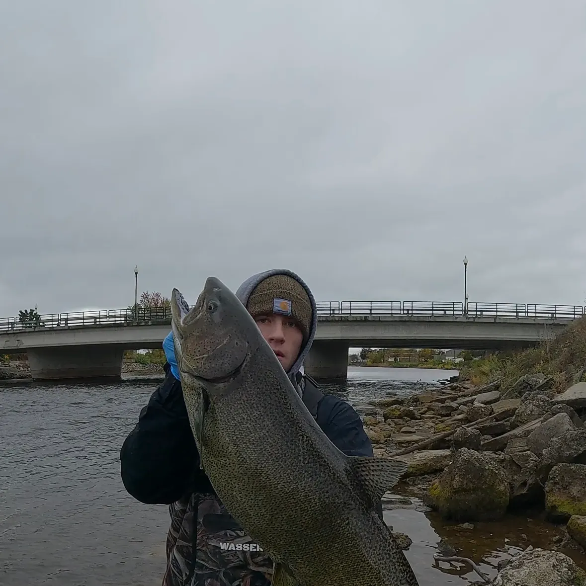 Chinook salmon caught on Fishbrain