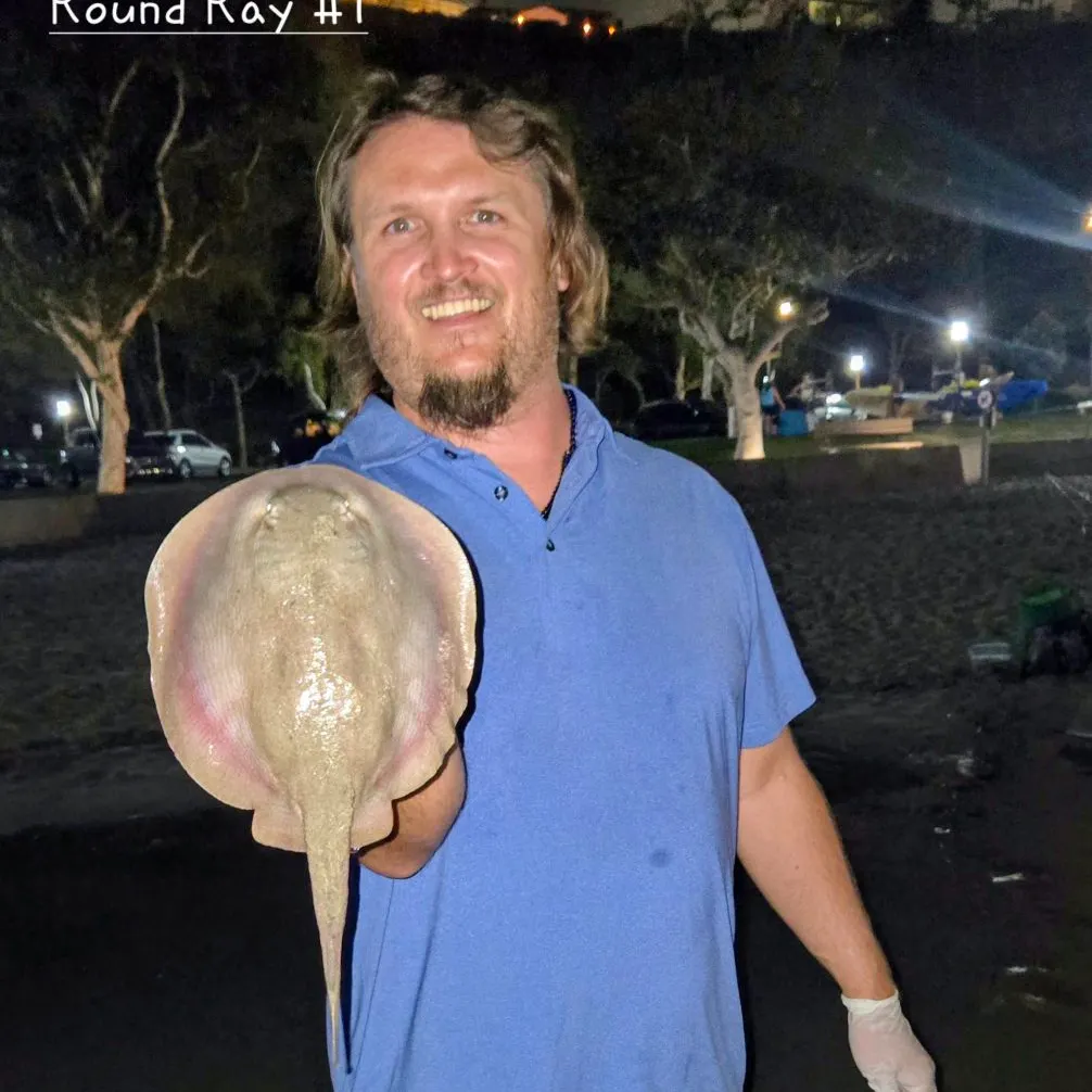 Haller's round ray caught on Fishbrain