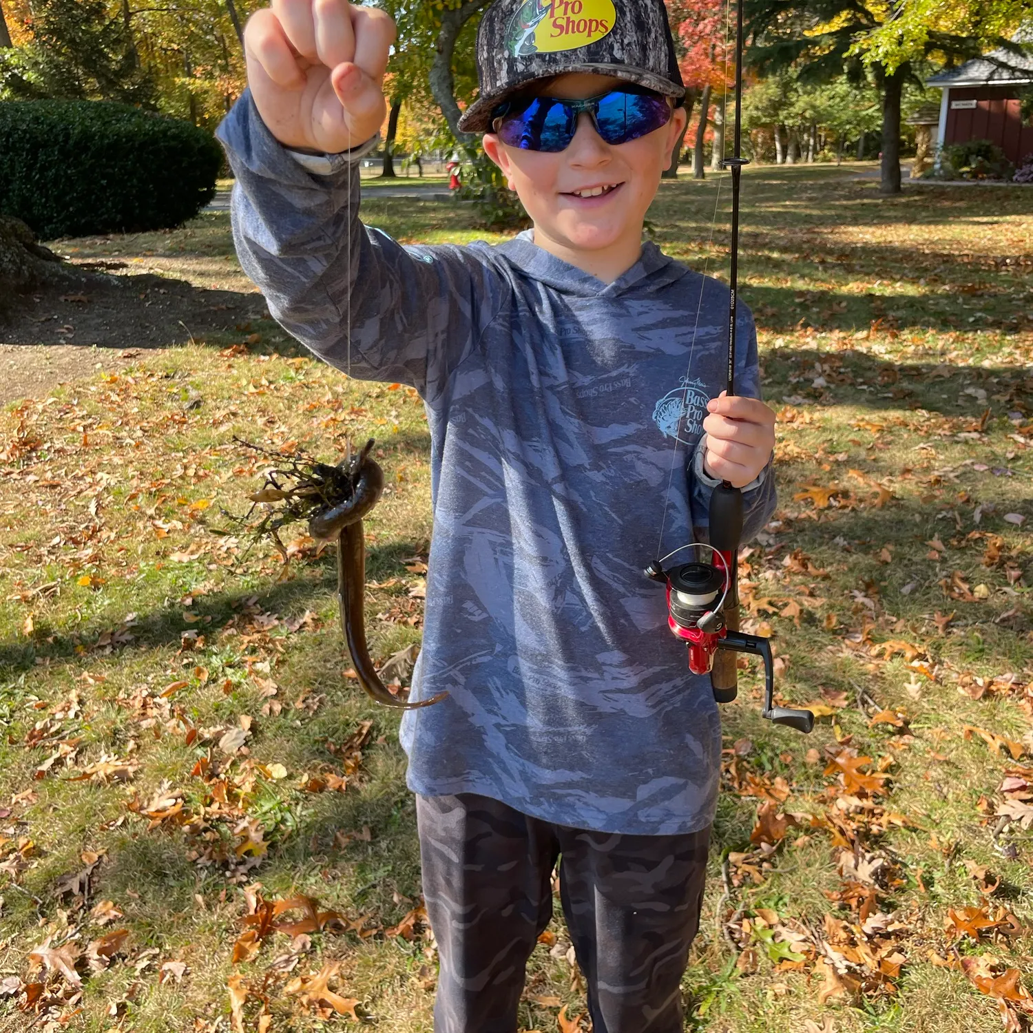 American eel caught on Fishbrain