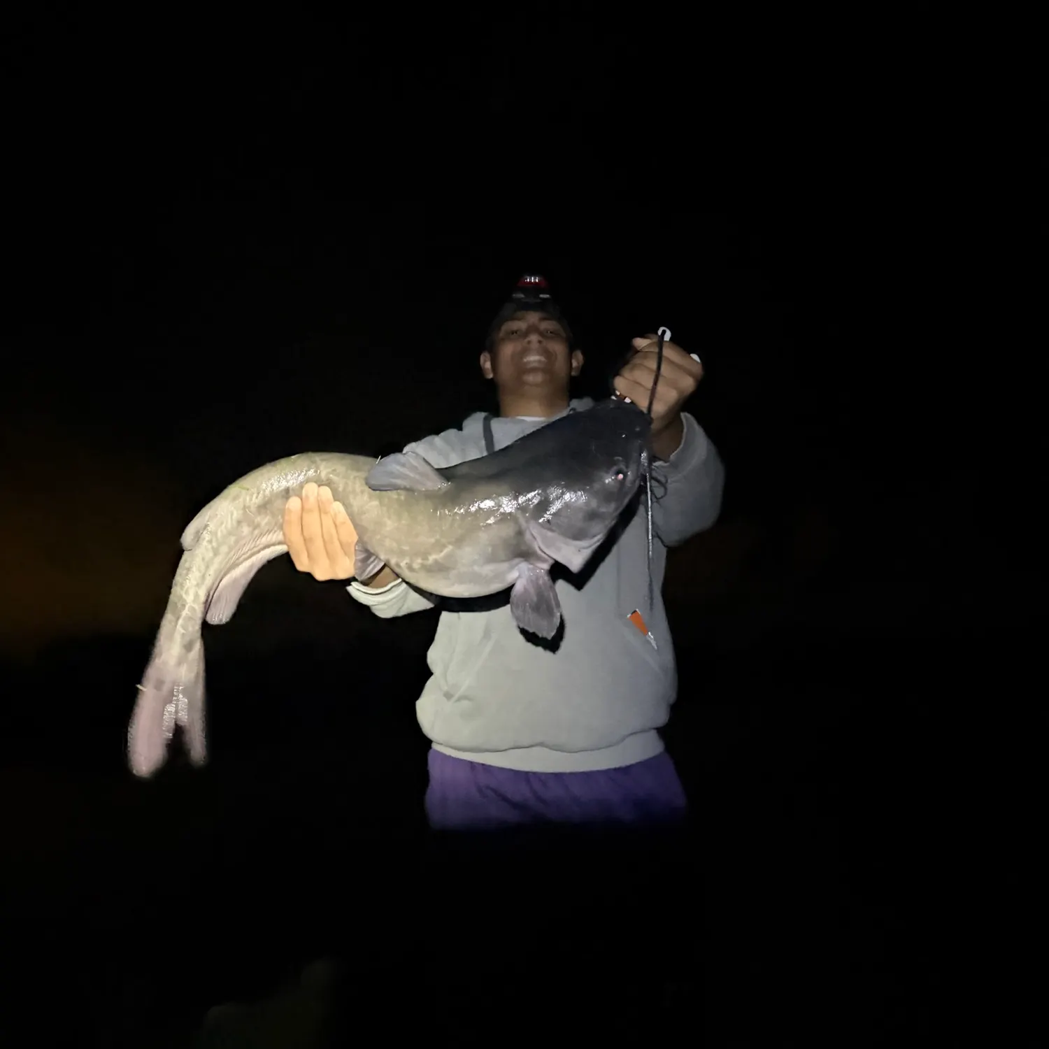 Channel catfish caught on Fishbrain