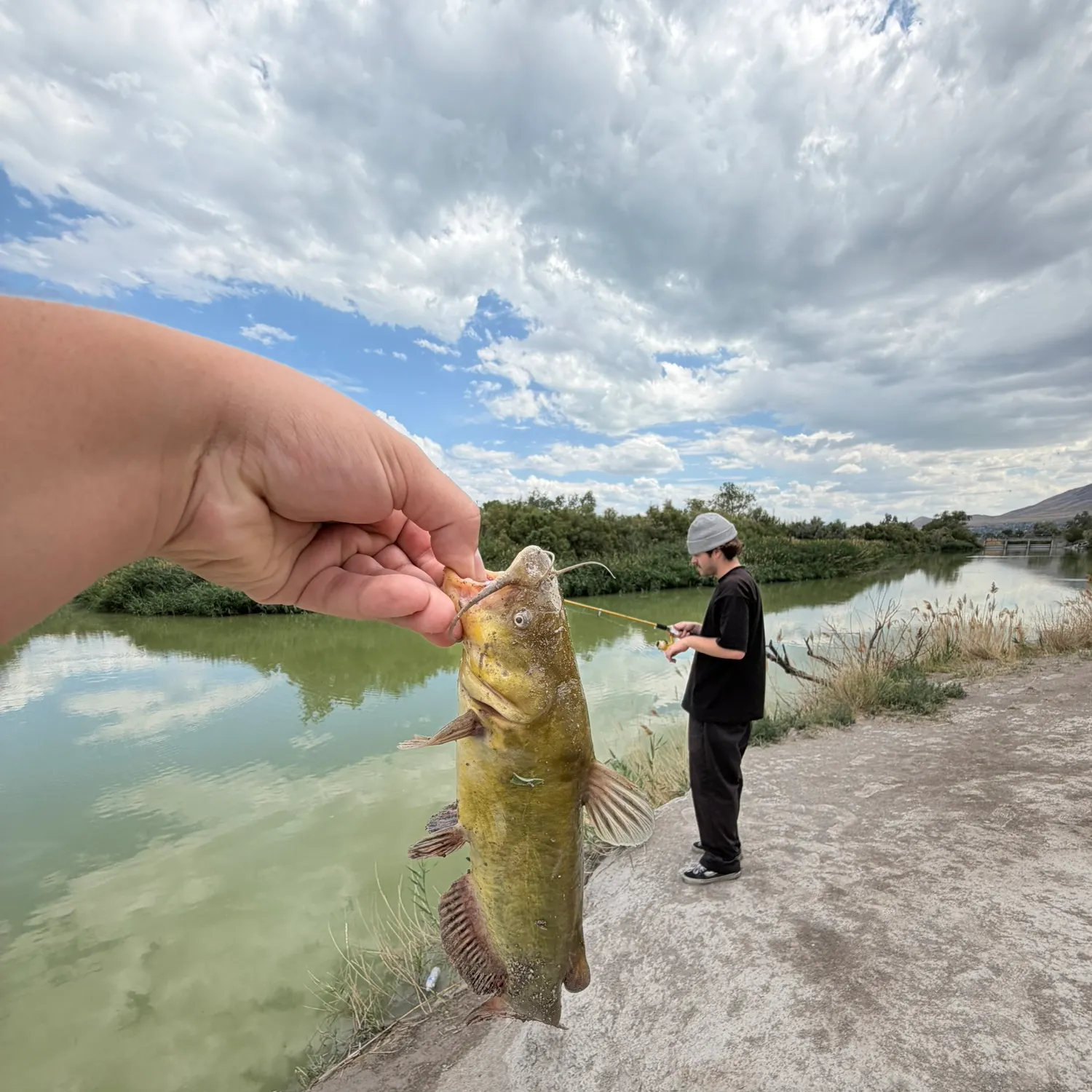 catch