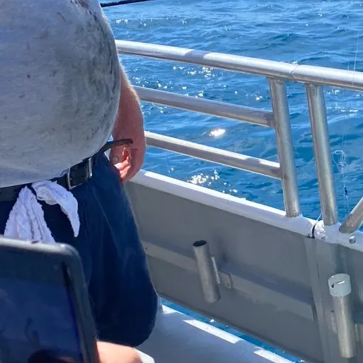 The most recent Yellowtail snapper catches on Fishbrain