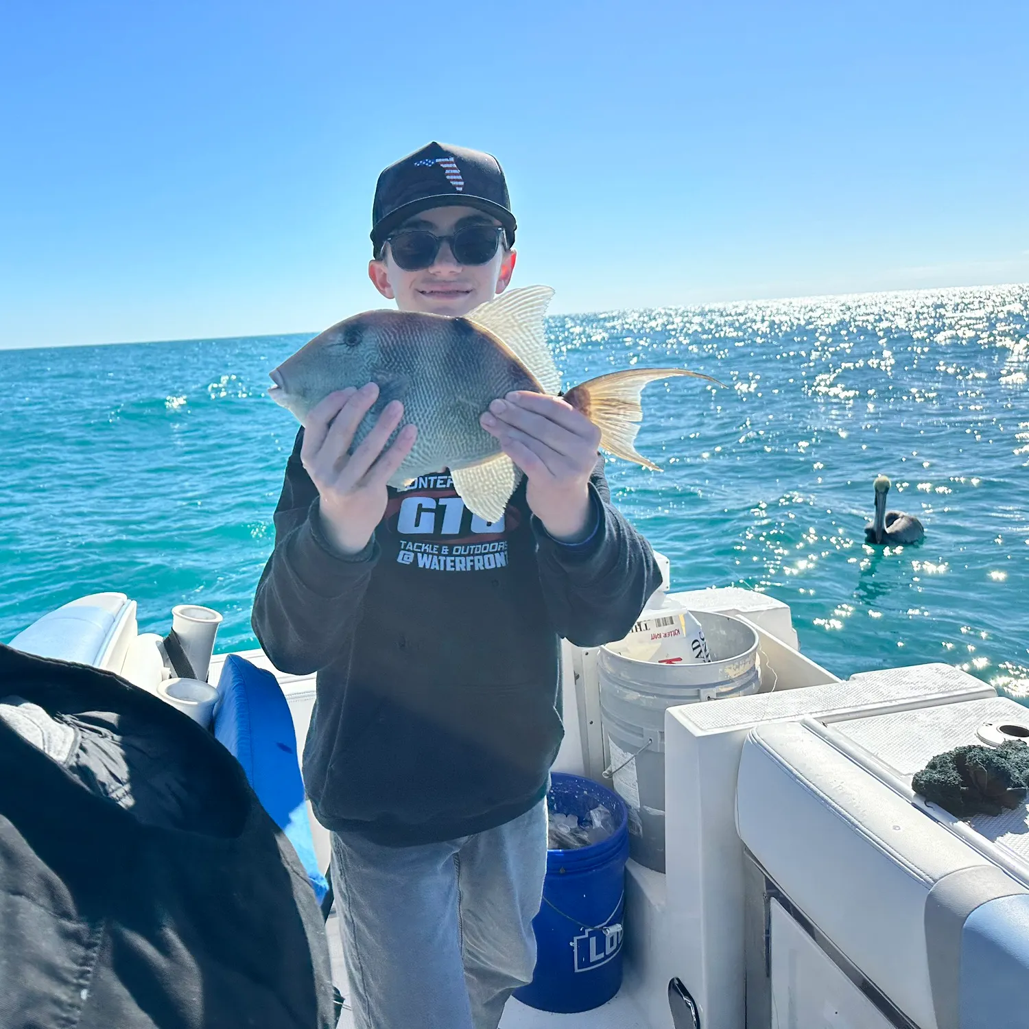 The most recent Grey triggerfish catches on Fishbrain