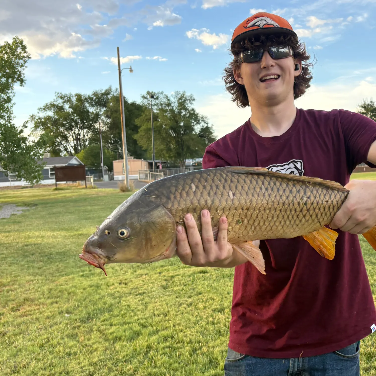 Common carp caught on Fishbrain