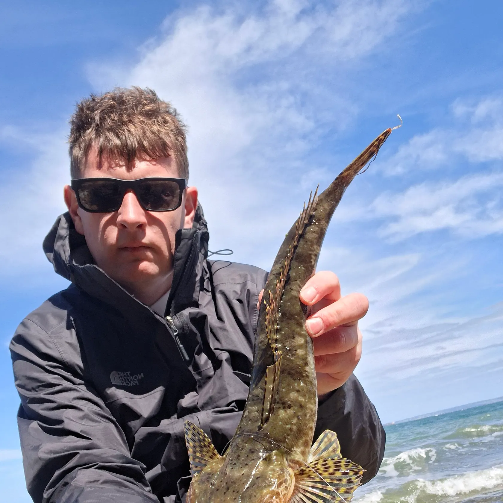 Rock flathead caught on Fishbrain
