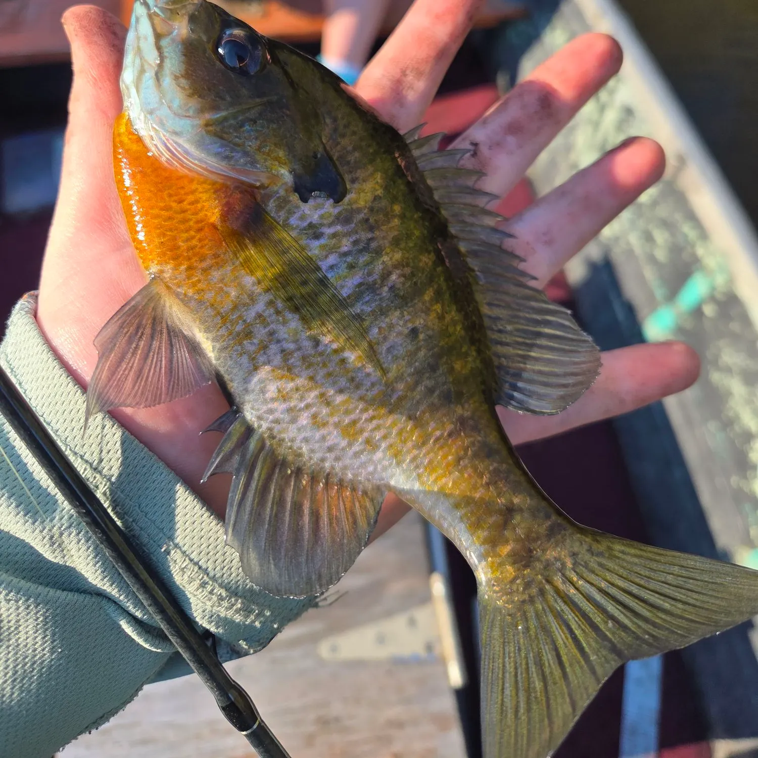 catch