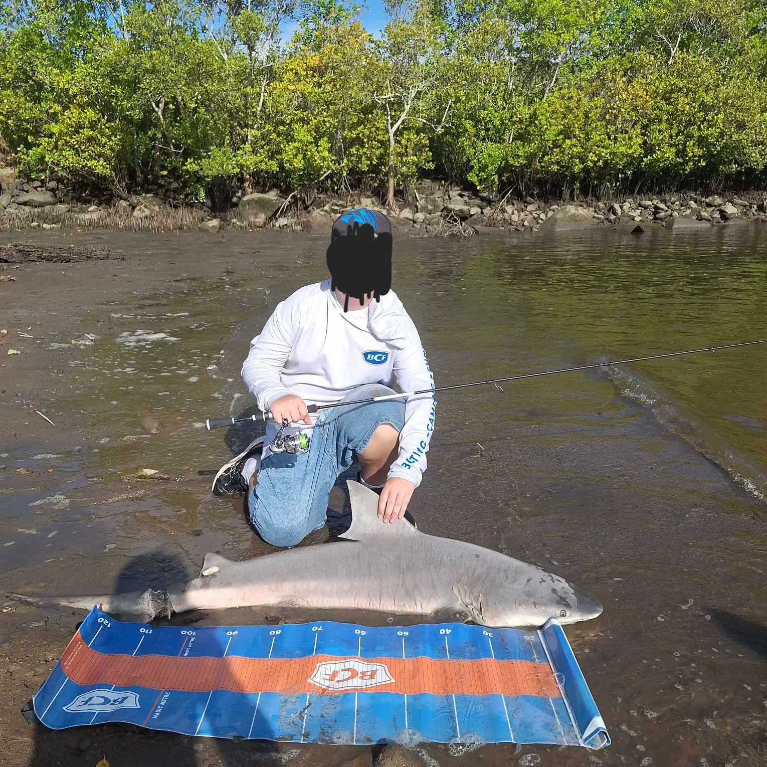 The most recent Bull shark catches on Fishbrain
