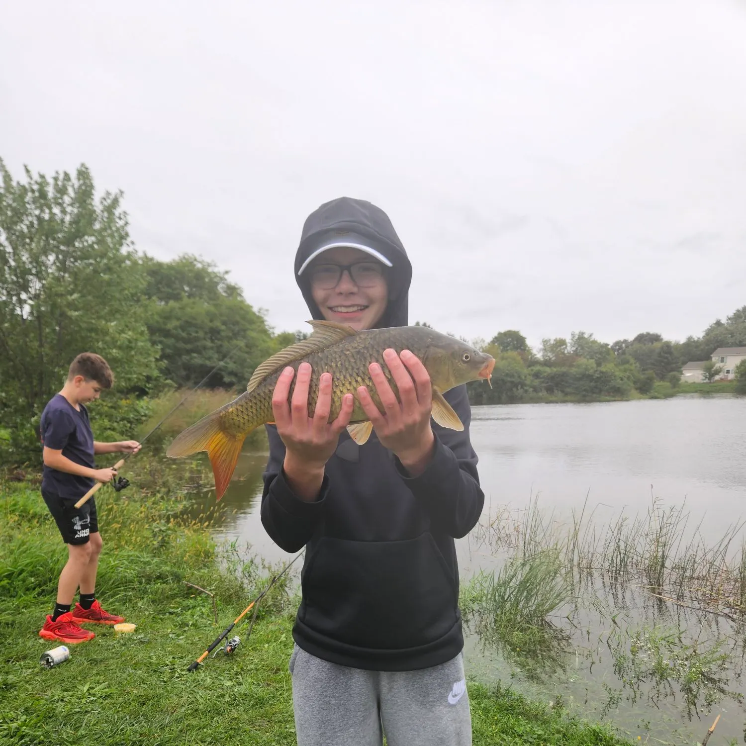 Common carp caught on Fishbrain
