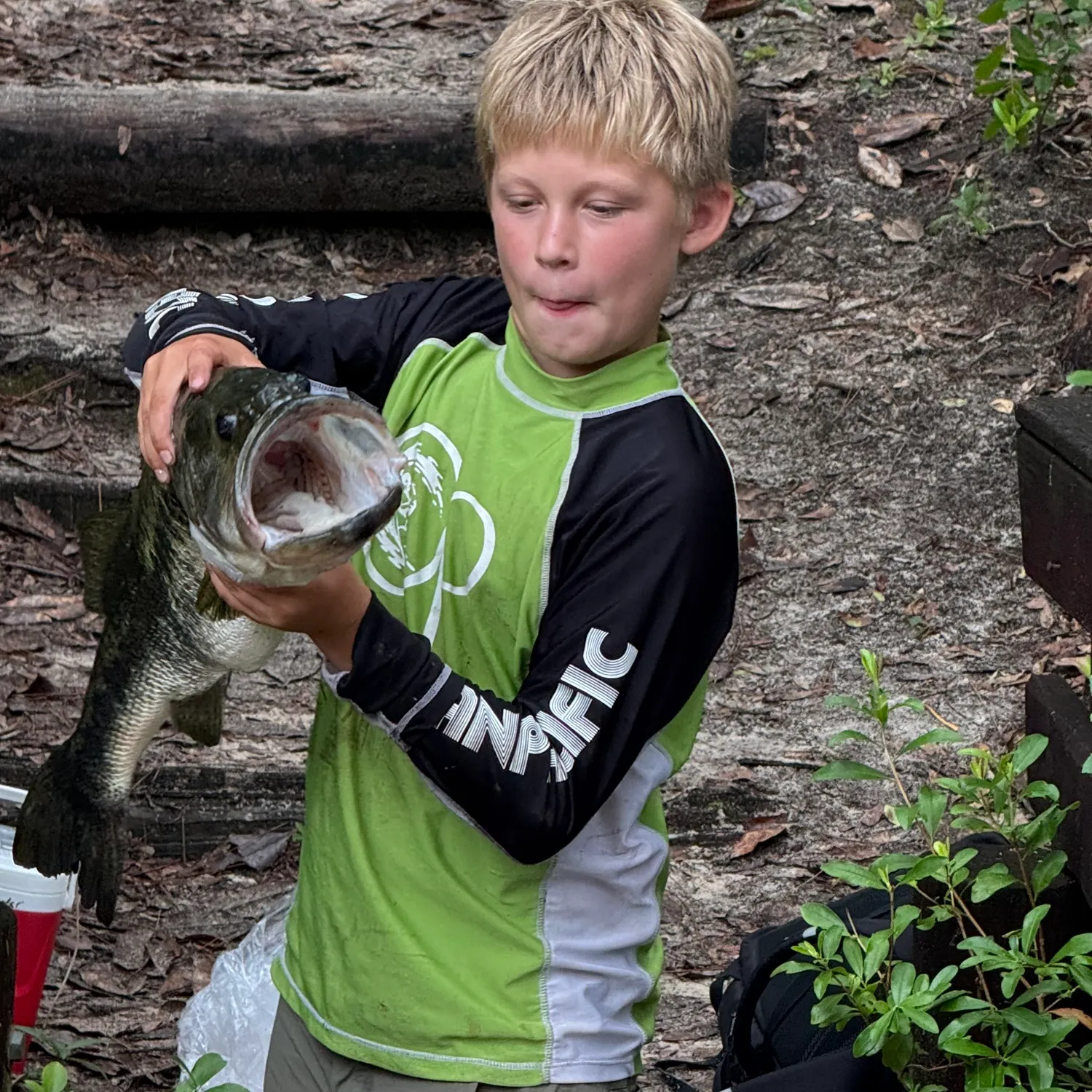 The most recent Bighead carp catches on Fishbrain
