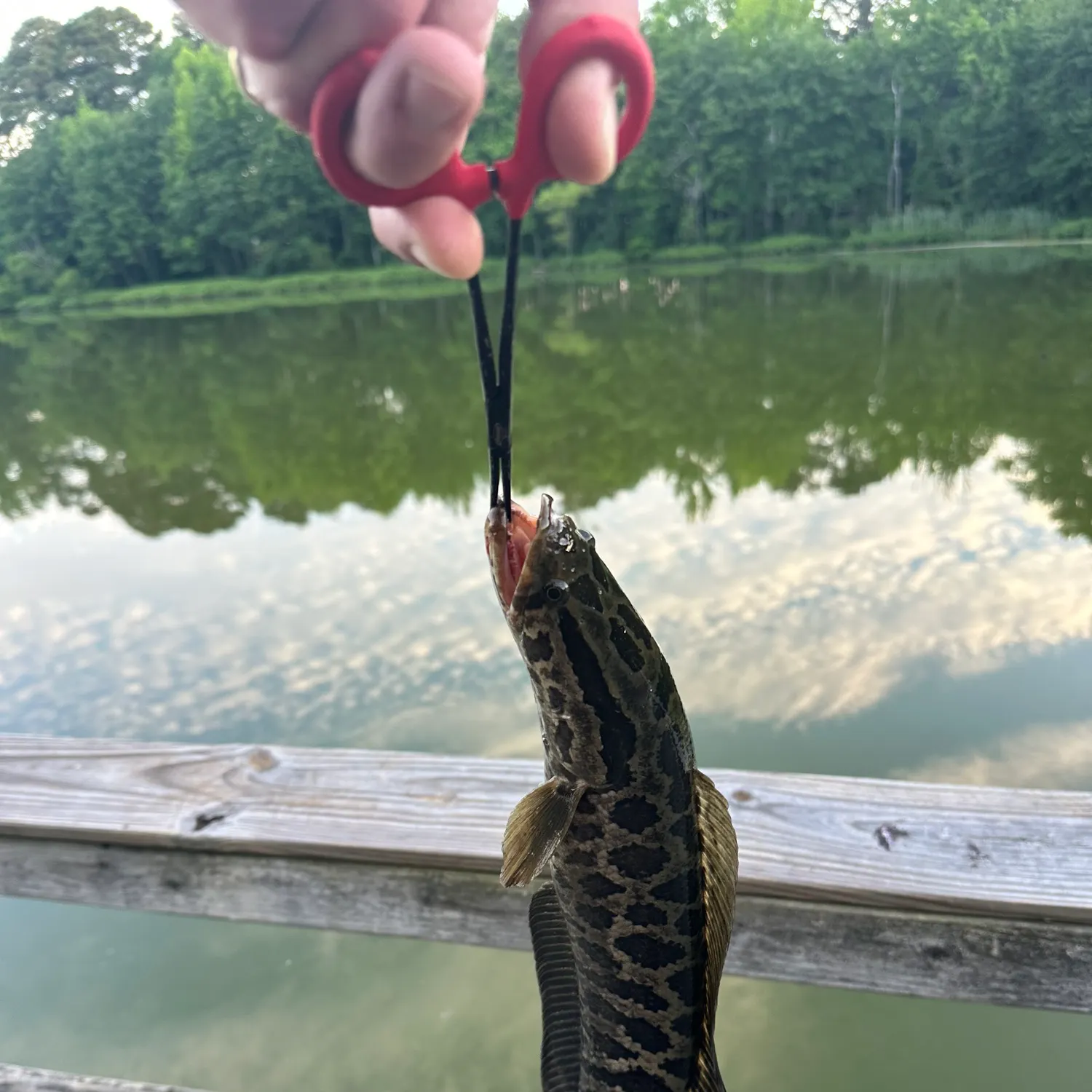 catch