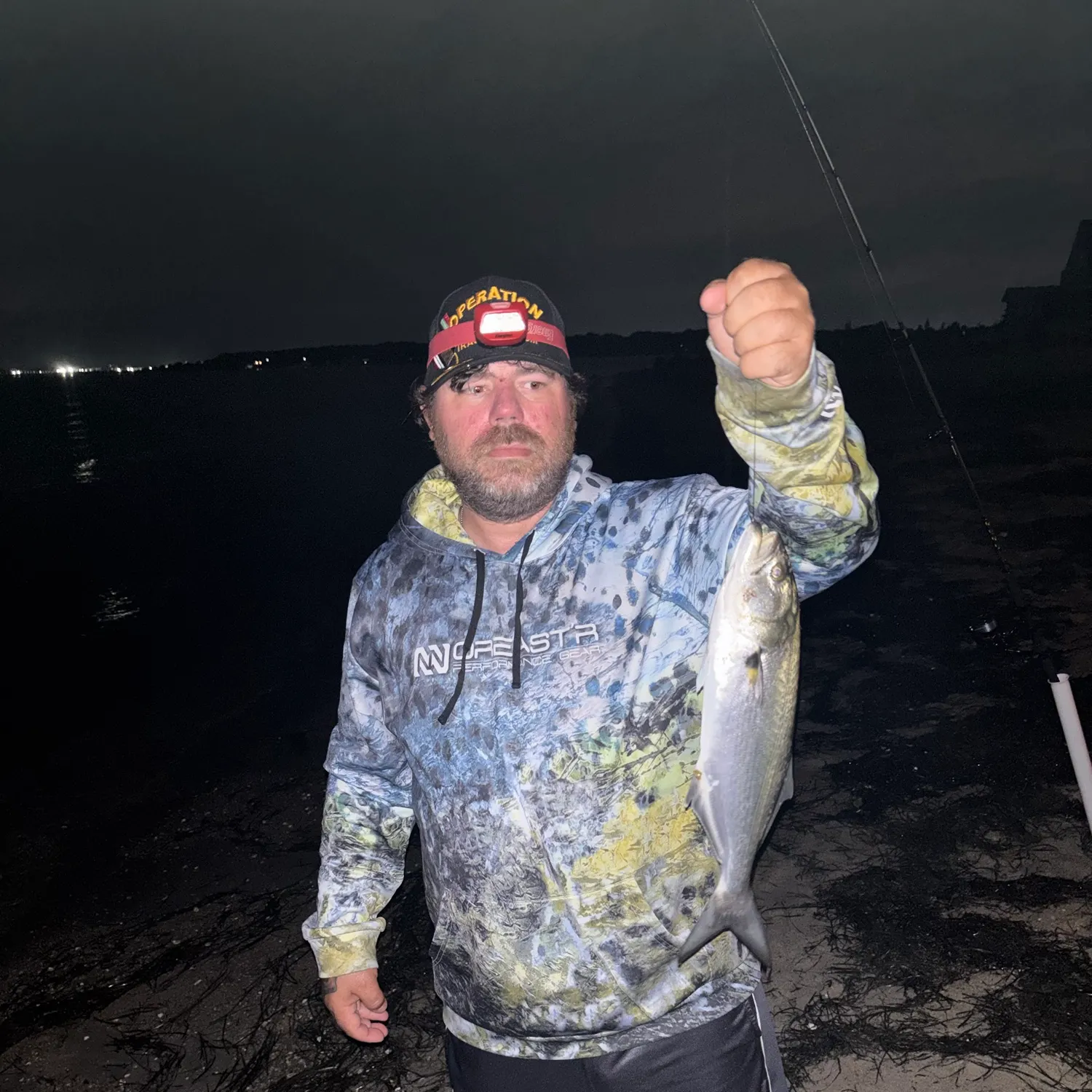 Bluefish caught on Fishbrain