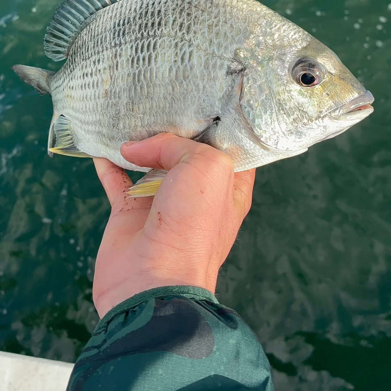 catch