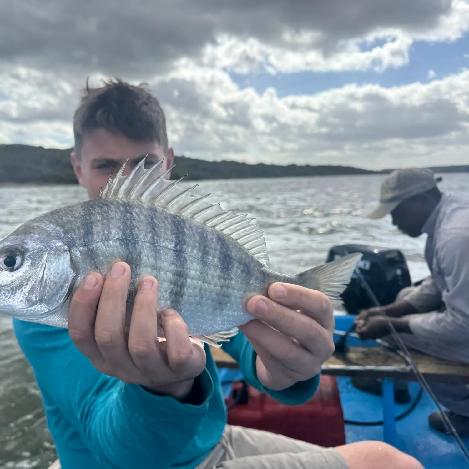 The most recent White steenbras catches on Fishbrain