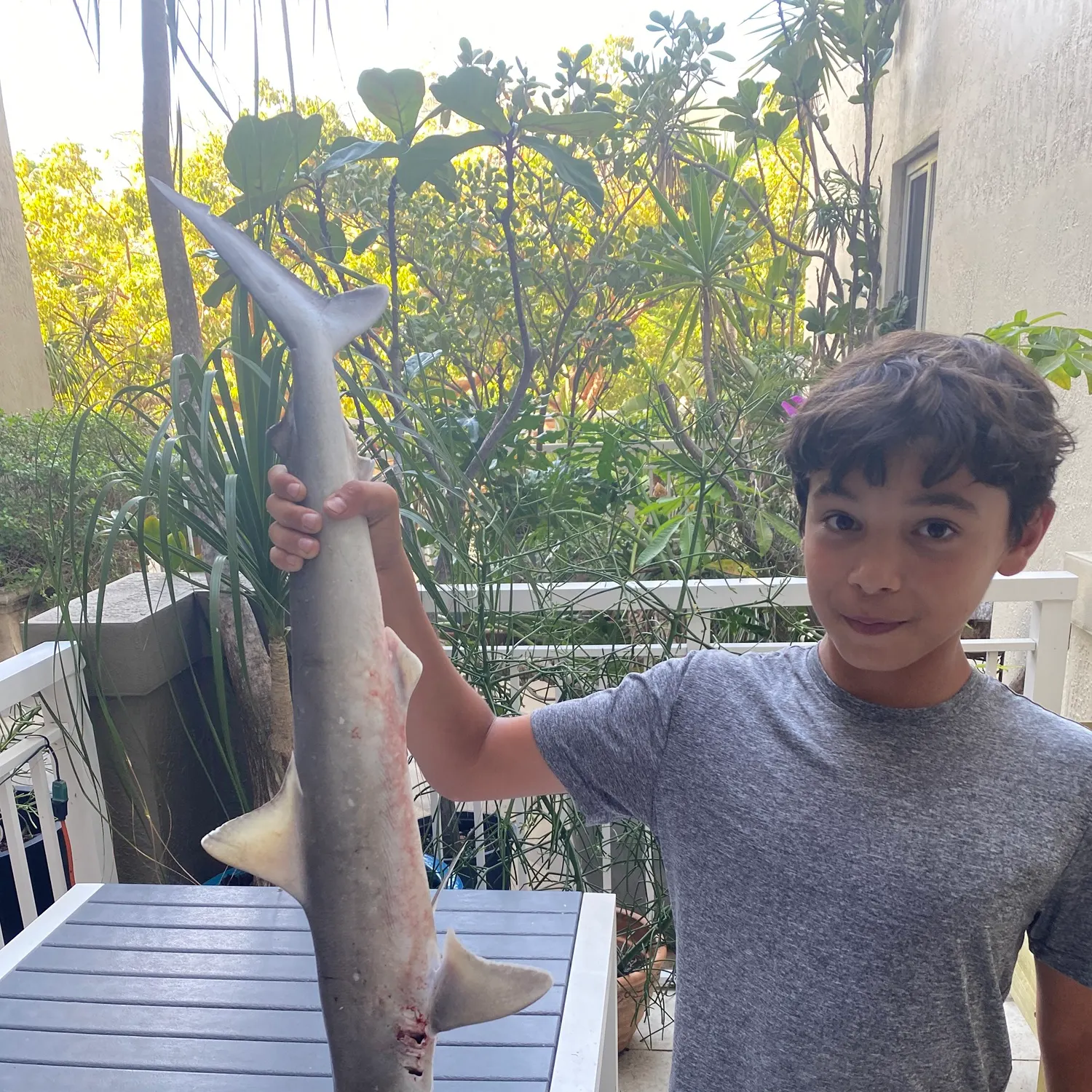 The most recent Pacific sharpnose shark catches on Fishbrain