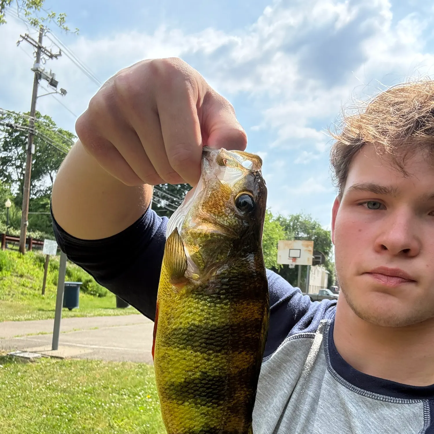 catch